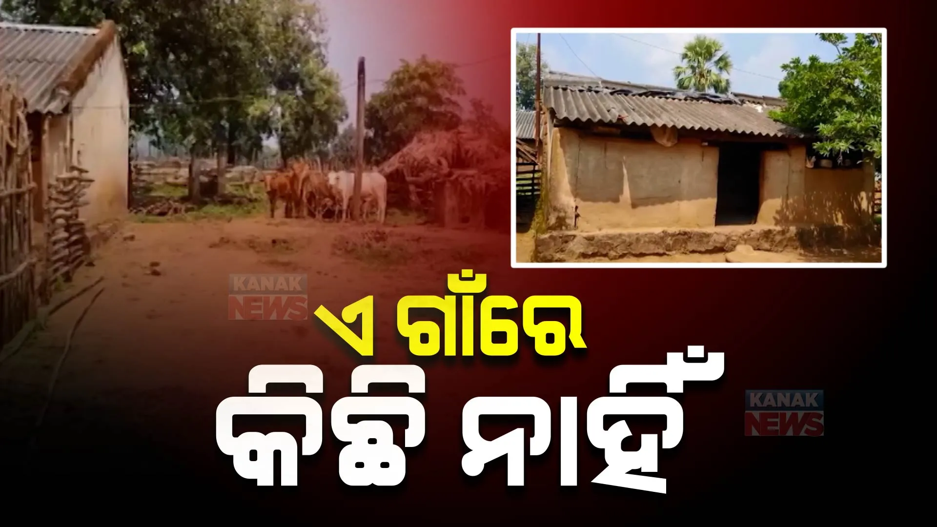 ଗାଁରେ କାହାରିକୁ ମିଳିନାହିଁ ସରକାରୀ ଆବାସ, ସ୍କୁଲ କି ଅଙ୍ଗନବାଡି ନଥିବାରୁ ଗାଈ ଚରାଉଛନ୍ତି ପିଲା ।