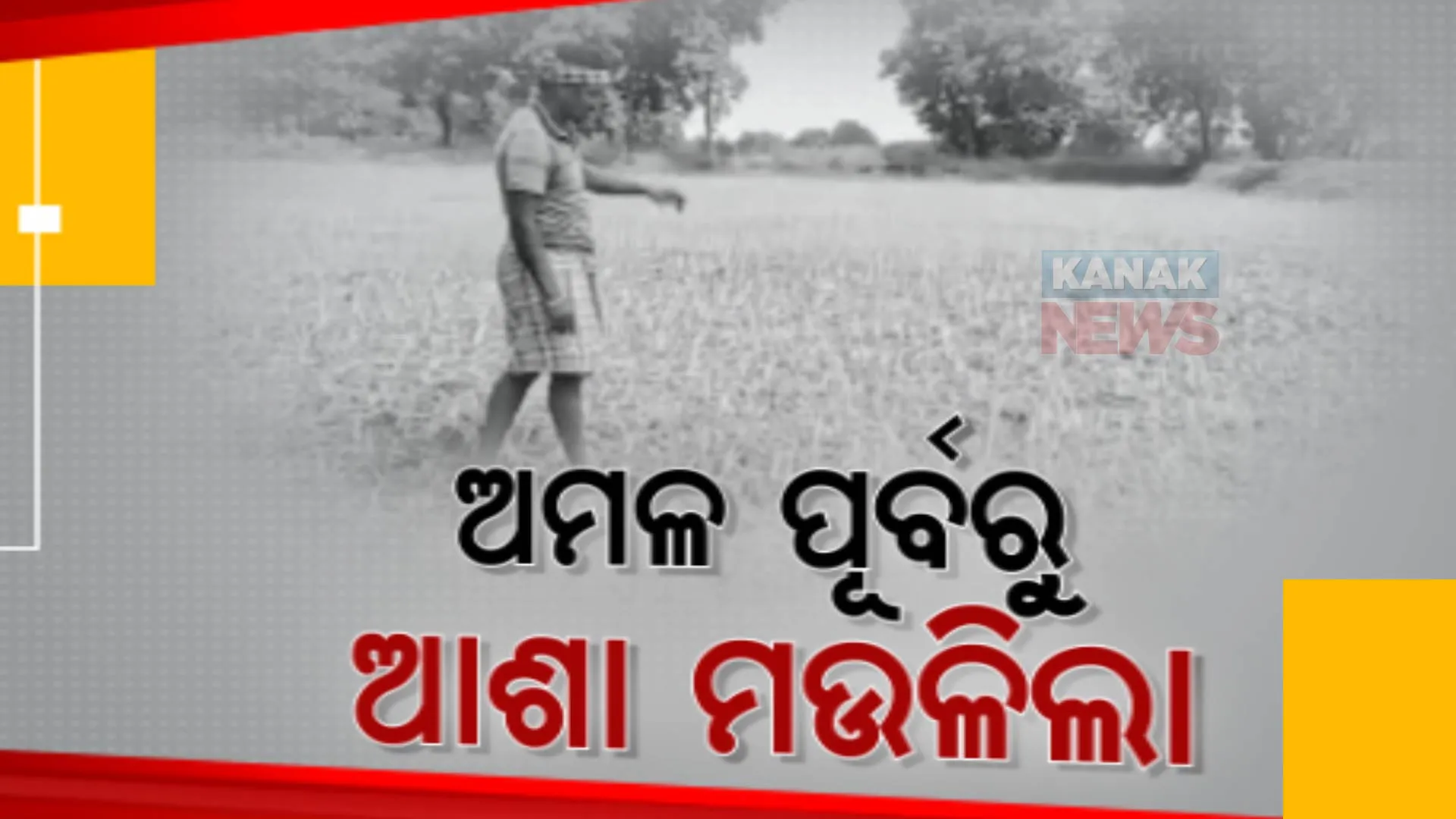 ଖଳାକୁ ଆସିବା ଆଗରୁ ଜାଳିଦେଲା ବର୍ଷା । ପାଣି ଅଭାବରୁ କଳାହାଣ୍ଡି ଜିଲ୍ଲାର ଦଣ୍ଡପାଟ ଅଂଚଳରେ ମରୁଡି ଆଶଙ୍କା