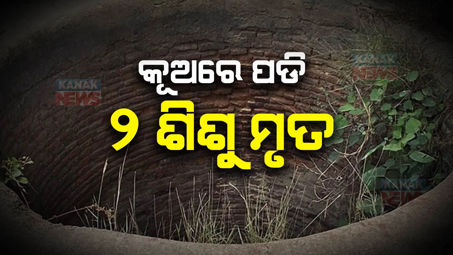 ଧାନ କାଟିବାକୁ ଯାଇଥିଲେ ପରିବାର ଲୋକ, ଫେରିବା ବେଳକୁ କୂଅରେ ପଡି ୨ ଶିଶୁ ମୃତ । ଢେଙ୍କାନାଳରୁ ଆସିଲା ଅଭାବନୀୟ ଘଟଣା ।    