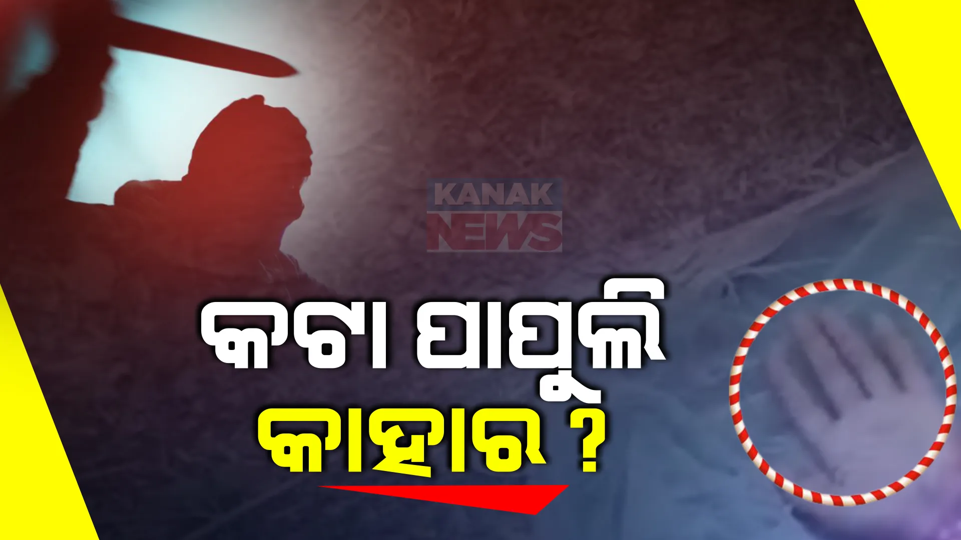 ଖୋର୍ଦ୍ଧାରେ ବୁଲୁଛି କଟା ହାତ! ମାନପୁର ନିକଟ ବିଲରୁ ମିଳିଲା କଟା ପାପୁଲ । ପୁଲିସର ଛାନଭିନ ଆରମ୍ଭ ।