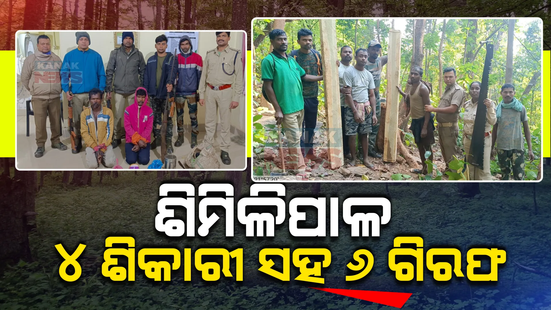 ଶିକାରୀଙ୍କୁ ସାବାଡ କରିବା ପାଇଁ ବନବିଭାଗର ଚଢଉ । ଶିମିଳିପାଳରେ ୪ ଶିକାରୀ ସହ ୬ ଅଭିଯୁକ୍ତ ଗିରଫ । ମାରାଣାସ୍ତ୍ର ସହ ଚୋରାକାଠ ଜବତ ।