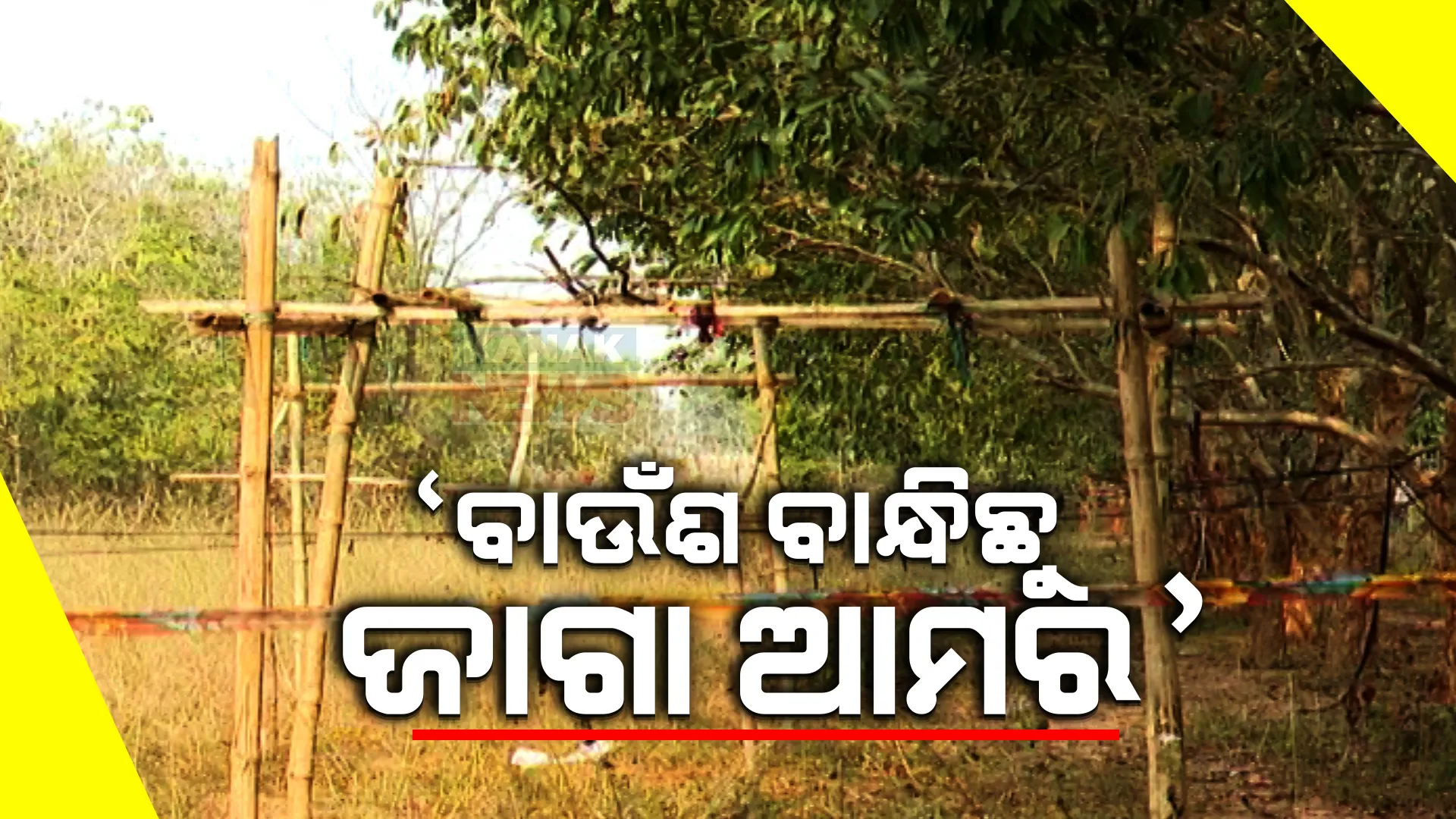 ଟଙ୍କା ଦେଇ ଟୋକନ ନେଉଛନ୍ତି, ବାଉଁଶ ବାନ୍ଧି ଜଙ୍ଗଲ ଜମି ଜବରଦଖଲ କରୁଛନ୍ତି ବସ୍ତିବାସିନ୍ଦା । ଭୁବନେଶ୍ୱର ଶାମପୁର ଅଞ୍ଚଳରୁ ଆସିଲା ଜମି ଜବରଦଖଲର ଭିନ୍ନ ଚିତ୍ର ।