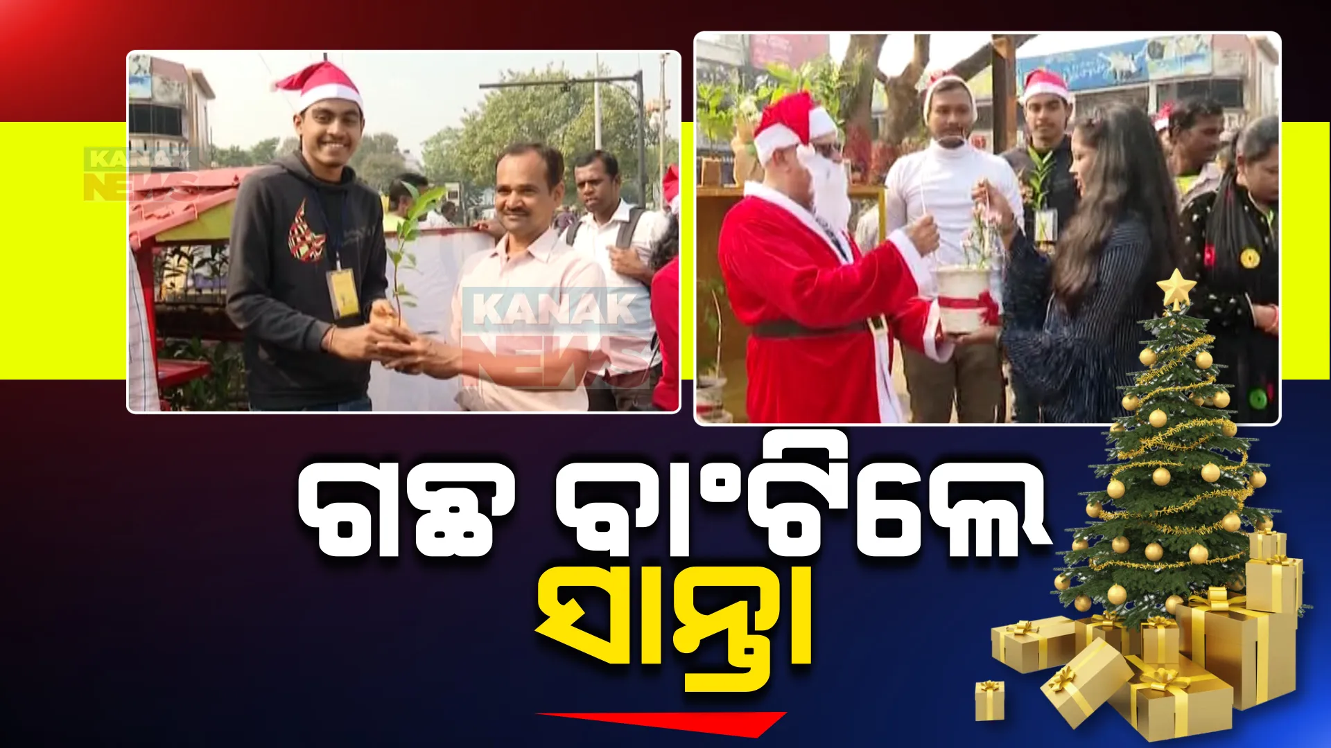 ବଡ଼ଦିନରେ ସାନ୍ତା ବାଣ୍ଟିଲେ ଉପହାର । ଉପହାରରେ ମିଳିଛି ଜାମୁକୋଳି, ଅଶୋକ ଓ ଅନେକ ଫୁଲଗଛ ।