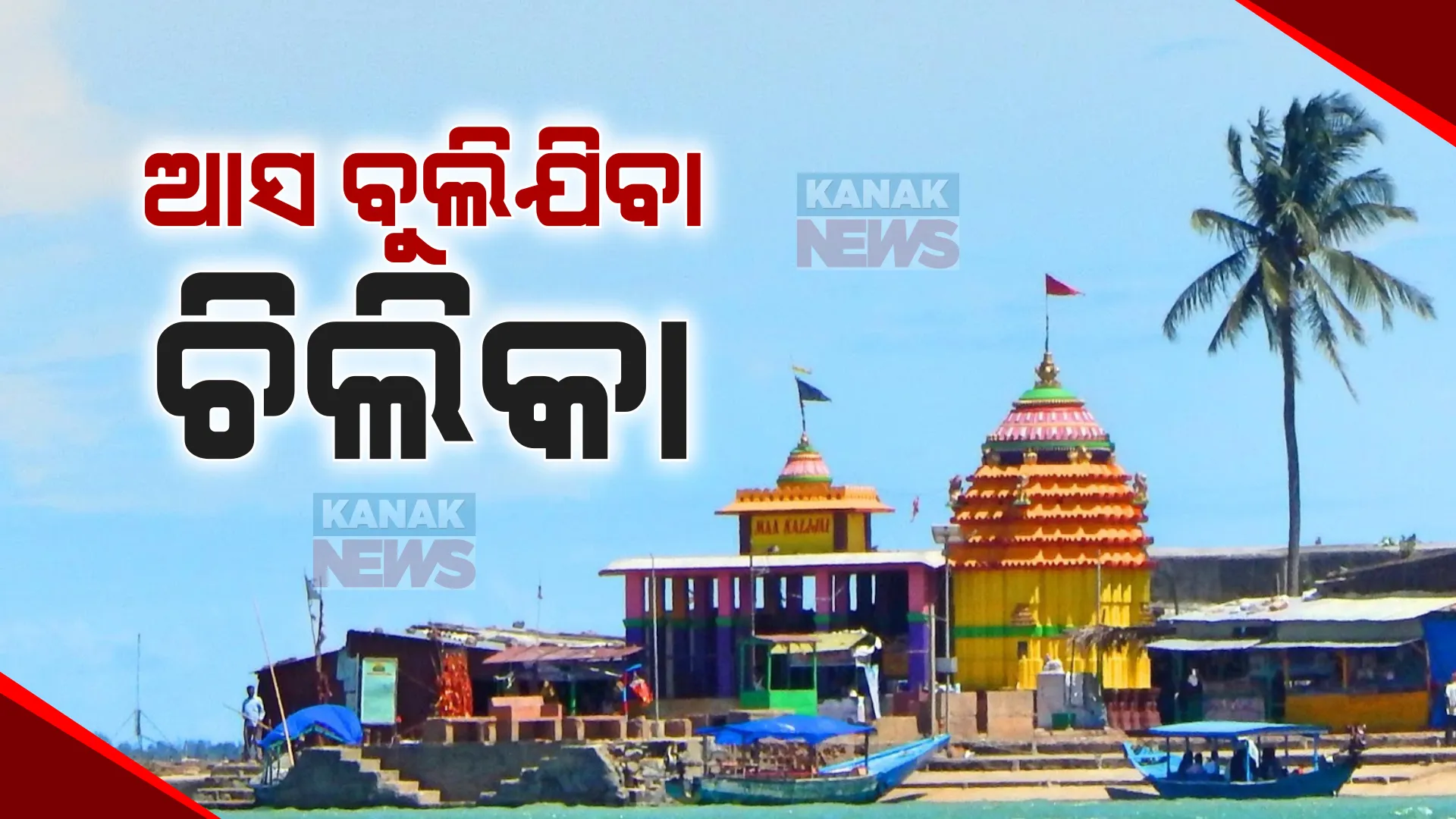 ସଜେଇ ହୋଇଛି ଚିଲିକା ରାଣୀ । ମା’ କାଳିଜାଇଙ୍କ ପୀଠରେ ପର୍ଯ୍ୟଟକଙ୍କ ଗହଳି, ବିଦେଶୀ ପକ୍ଷୀଙ୍କ ସହ ଡଲଫିନ୍ ଦେଖିବାକୁ ପ୍ରବଳ ଭିଡ