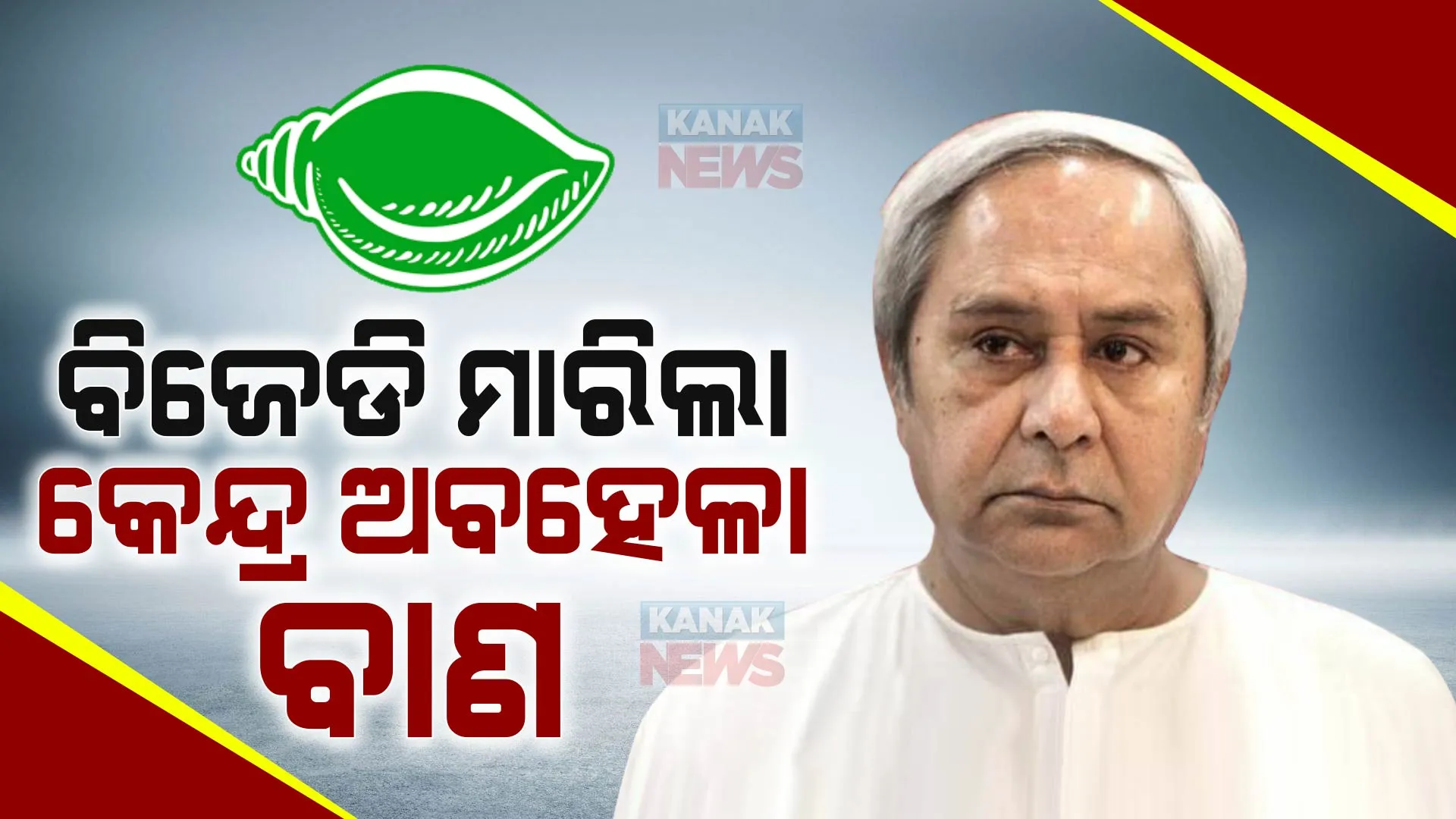 ବିଜେଡି କାର୍ଯ୍ୟକାରିଣୀରେ ଉଠିଲା କେନ୍ଦ୍ର ଅବହେଳା ପ୍ରସଙ୍ଗ । ମହାନଦୀ ଓ ପୋଲାଭରମ ଭଳି ରାଜ୍ୟର ସ୍ୱାର୍ଥ ପ୍ରସଙ୍ଗରେ ଲଢେଇ ଜାରି ରଖିବାକୁ ଆହ୍ୱାନ