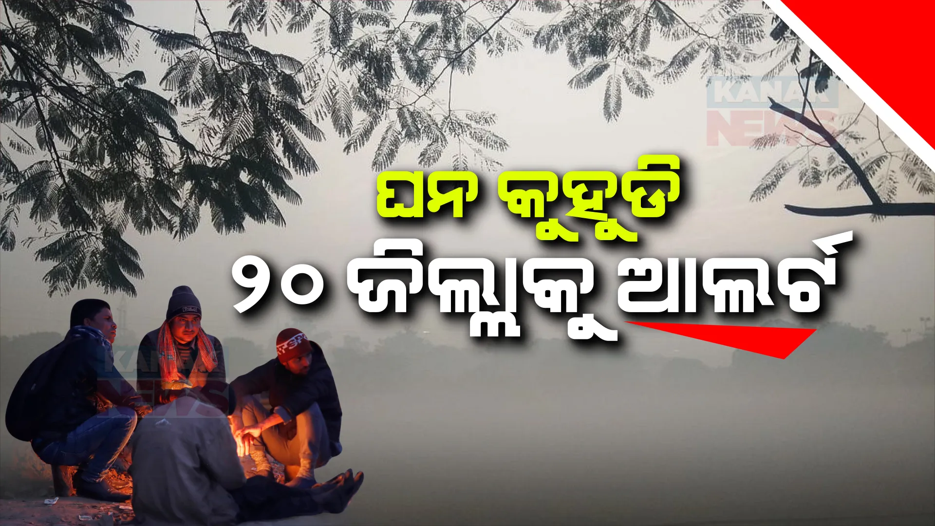 କମୁଛି ଶୀତ, ବଢୁଛି କୁହୁଡି । ଘନ କୁହୁଡି ନେଇ ଆଜି ୨୦ ଜିଲ୍ଲାକୁ ଆଲର୍ଟ । ସେପଟେ ୨ରୁ ୩ ଡିଗ୍ରୀ ବଢିଲା ତାପମାତ୍ରା ।