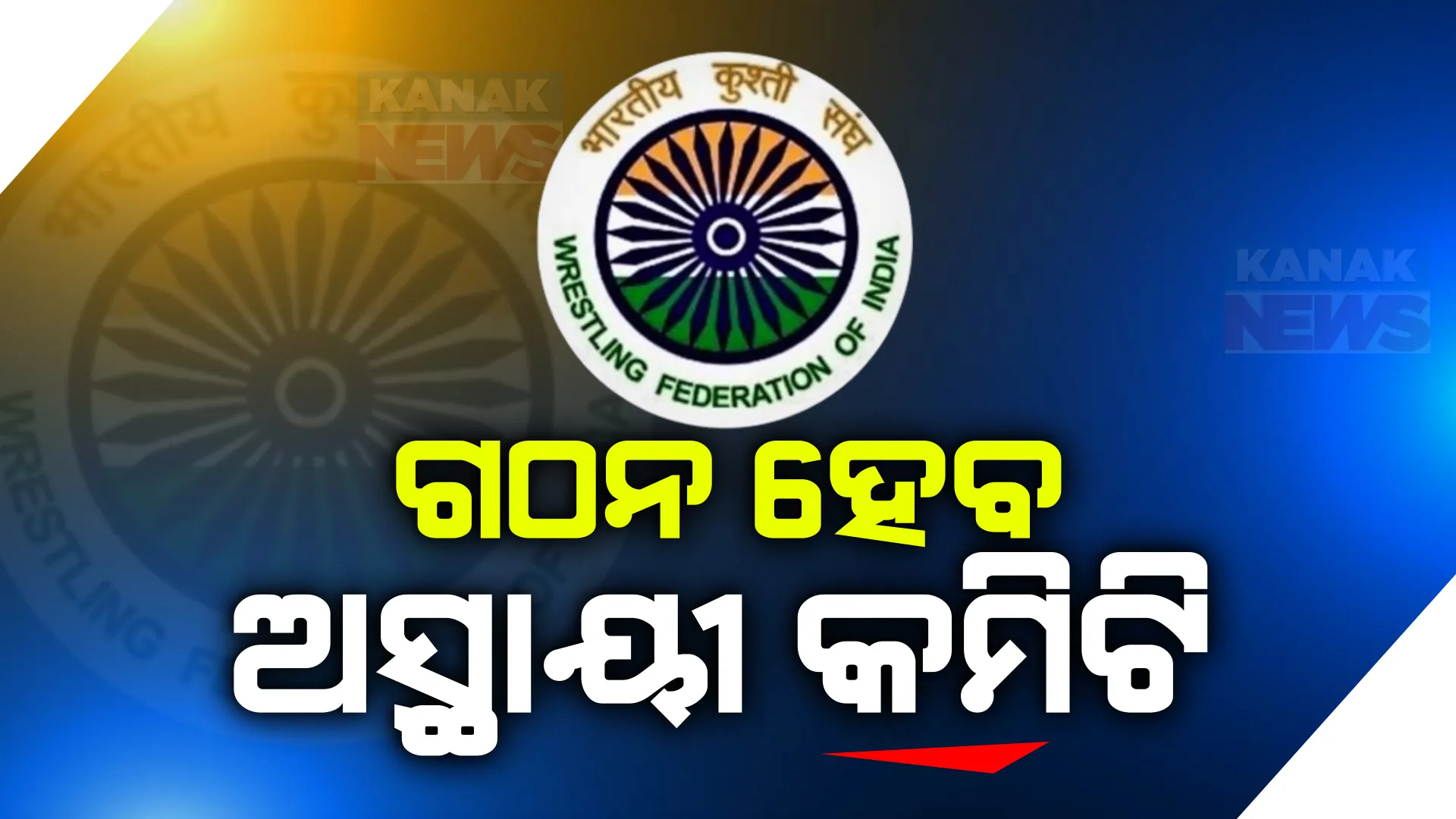 ଭାରତୀୟ କୁସ୍ତି ସଂଘ ରଦ୍ଦ ପରେ ପରିଚାଳନା ପାଇଁ ଗଠନ ହେବ ଆଡହକ କମିଟି । ଅସ୍ଥାୟୀ କମିଟି ଗଠନ ପାଇଁ ଇଣ୍ଡିଆନ ଅଲମ୍ପିକ ସଂଘକୁ କ୍ରୀଡା ମନ୍ତ୍ରଣାଳୟର ନିର୍ଦ୍ଦେଶ ।