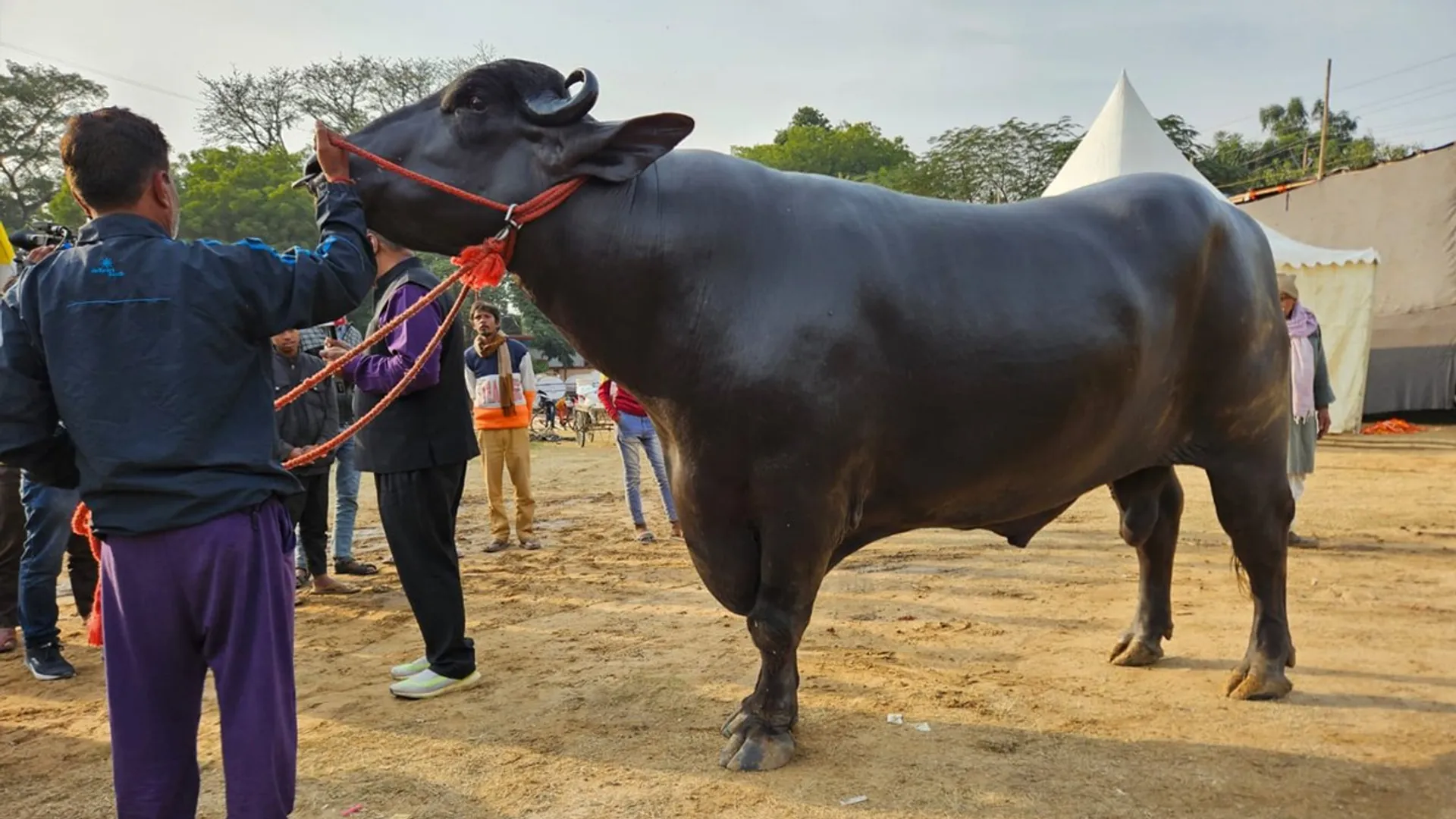 କୃଷକ ମେଳାରେ ୧୦ କୋଟିର ମଇଁଷି । ଦେଖିବାକୁ ଲୋକଙ୍କ ନାହିଁନଥିବା ଭିଡ ।