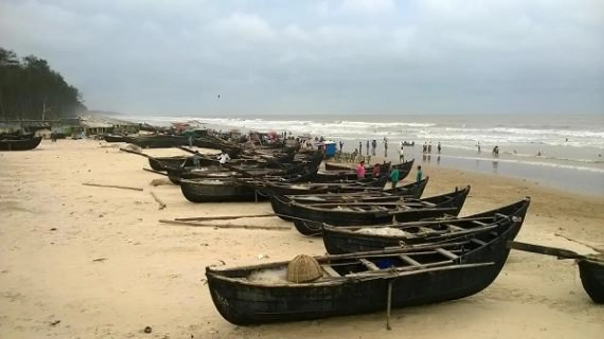 ଉଦୟପୁର ବେଳାଭୂମିରେ ବଣଭୋଜି ମନା । ବନ ବିଭାଗର ଏଭଳି ନିଷ୍ପତ୍ତି ପରେ ଅଭିଯୋଗ କଲେ ସ୍ଥାନୀୟ ଲୋକେ ।