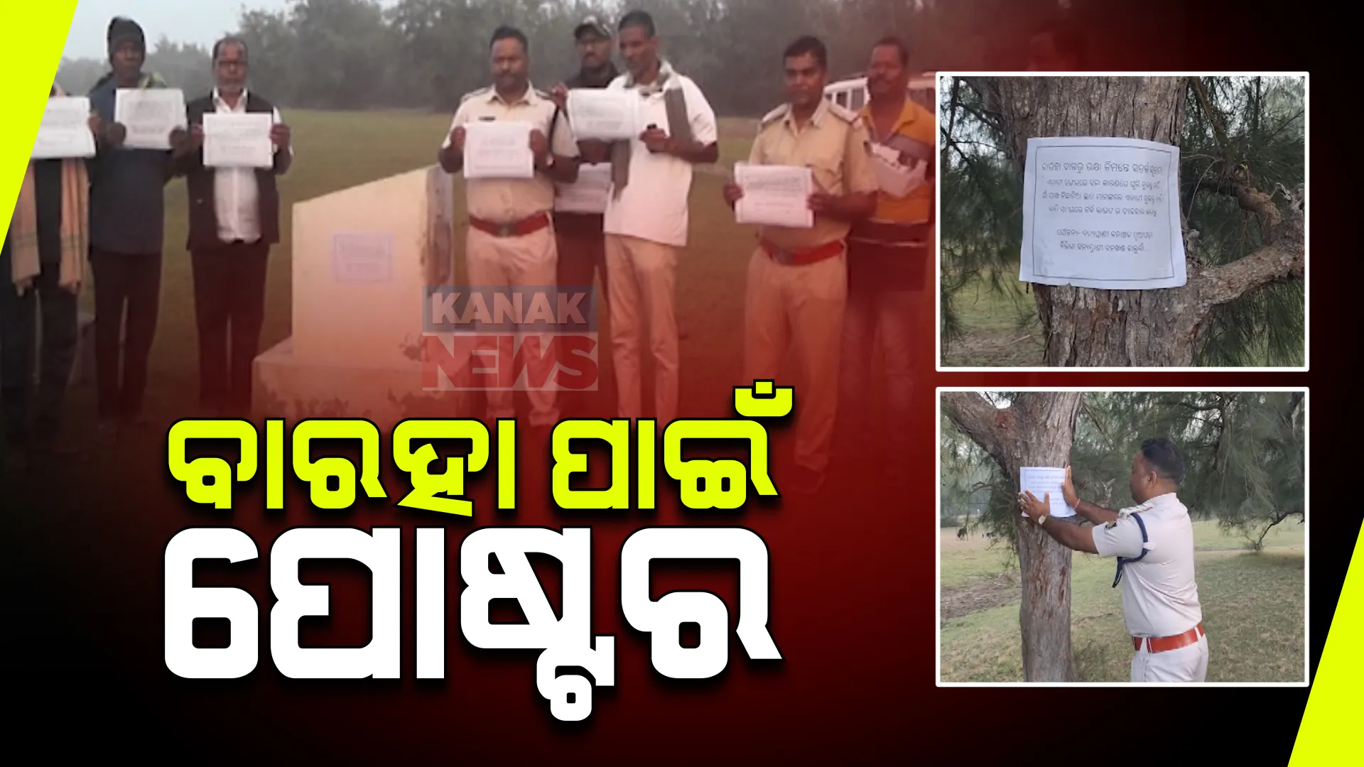 କୃଷ୍ଣପ୍ରସାଦ ଅଞ୍ଚଳରେ ଆତଙ୍କ ଖେଳାଇଛି ଜଙ୍ଗଲୀ ବାରହା । ଜଙ୍ଗଲରେ ପୋଷ୍ଟର ମାରି ସଚେତନ କରାଉଛନ୍ତି ବନବିଭାଗ ଅଧିକାରୀ ।