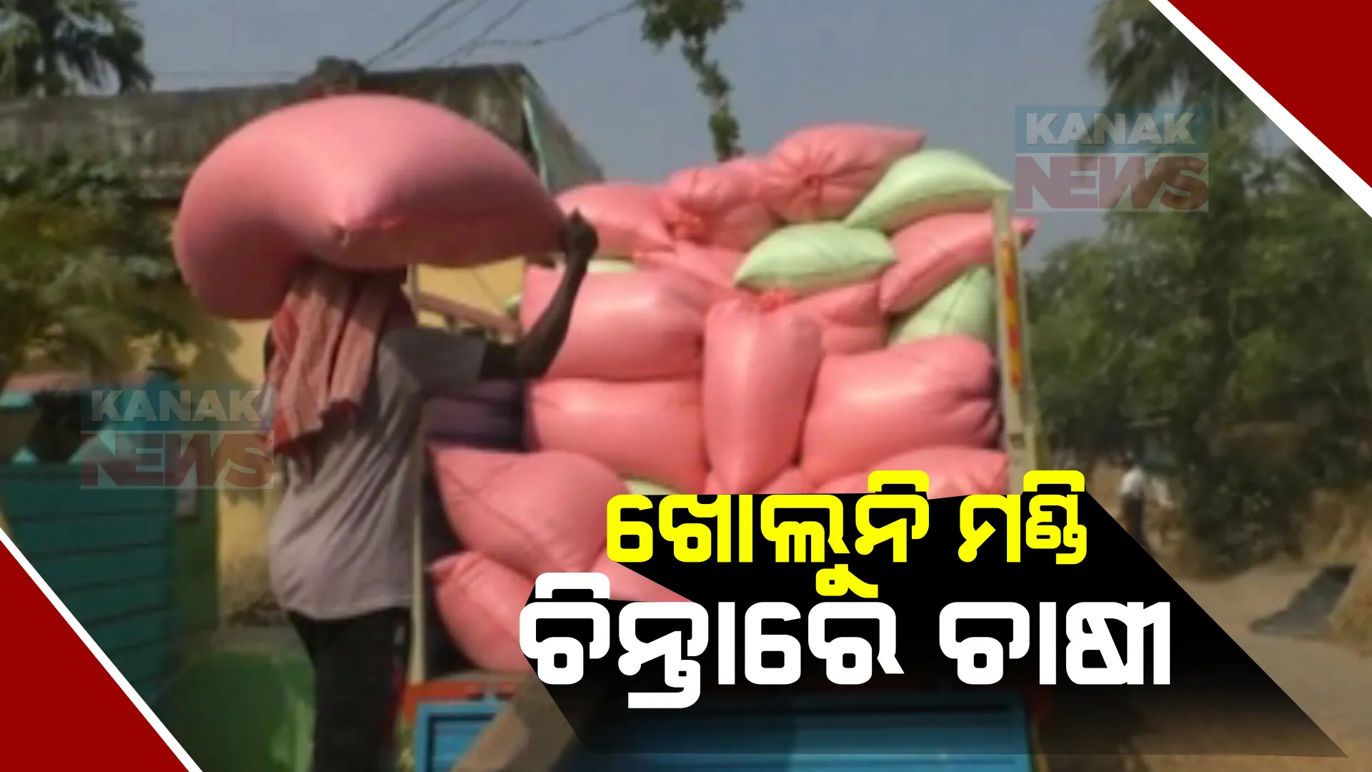 ଚିନ୍ତାରେ ଅସ୍ତରଙ୍ଗ ଓ କାକଟପୁର ଚାଷୀ । ଧାର୍ଯ୍ୟ ତାରିଖ ଗଡିଗଲା ପରେ ବି ଖୋଲିପାରୁନି ମଣ୍ଡି, ଗାଁ ଗାଁରେ ମାତିଛନ୍ତି ଦଲାଲ