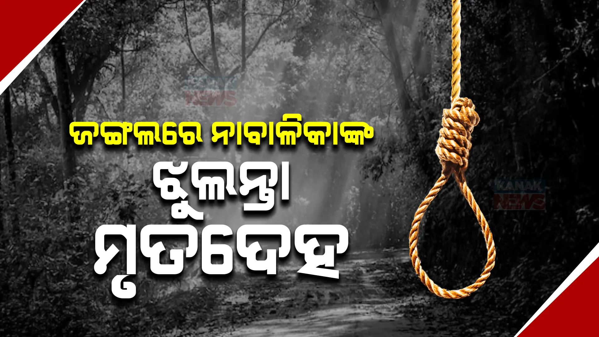 ଜଙ୍ଗଲରୁ ମିଳିଲା ନାବାଳିକାଙ୍କ ଝୁଲନ୍ତା ମୃତଦେହ । ଦୁଷ୍କର୍ମ ପରେ ହତ୍ୟା କରି ଟାଙ୍ଗି ଦେଇଥିବା ଅଭିଯୋଗ ।