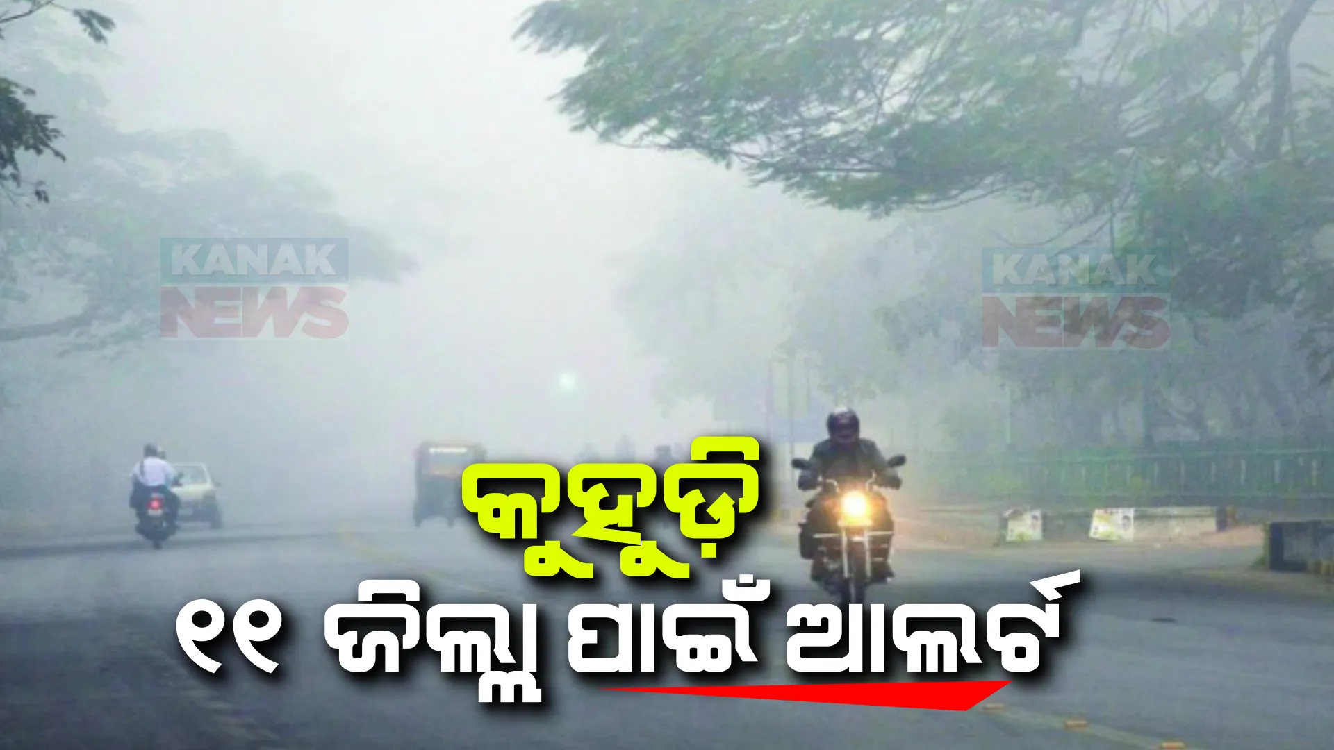 କଲବଲ କରୁଛି କୁହୁଡି । ଆଗାମୀ ୩ ଦିନ ପାଇଁ ଘନ କୁହୁଡି ନେଇ ପ୍ରଭାବିତ ଜିଲ୍ଲାପାଳଙ୍କୁ ସତର୍କ କଲେ ଏସଆରସି, ଆଜି ୧୧ ଜିଲ୍ଲା ପାଇଁ ଆଲର୍ଟ ଜାରି ।