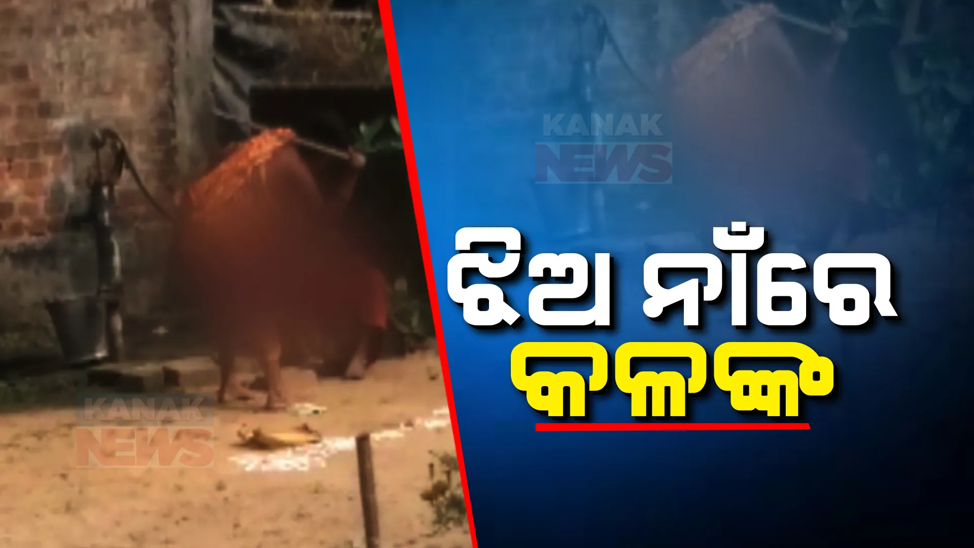 ମାଆ ଓ ଝିଅର ସଂପର୍କ କଳଙ୍କିତ କଲା ନିଆଳିର ଖବର । ଅଶୀ ବର୍ଷରୁ ବୃଦ୍ଧା ମାଆଙ୍କୁ ଚୁଟି ଟାଣି ତଳେ ଗଡେଇ, ବାଡିରେ ନିସ୍ତୁକ ପିଟିଲା ଝିଅ