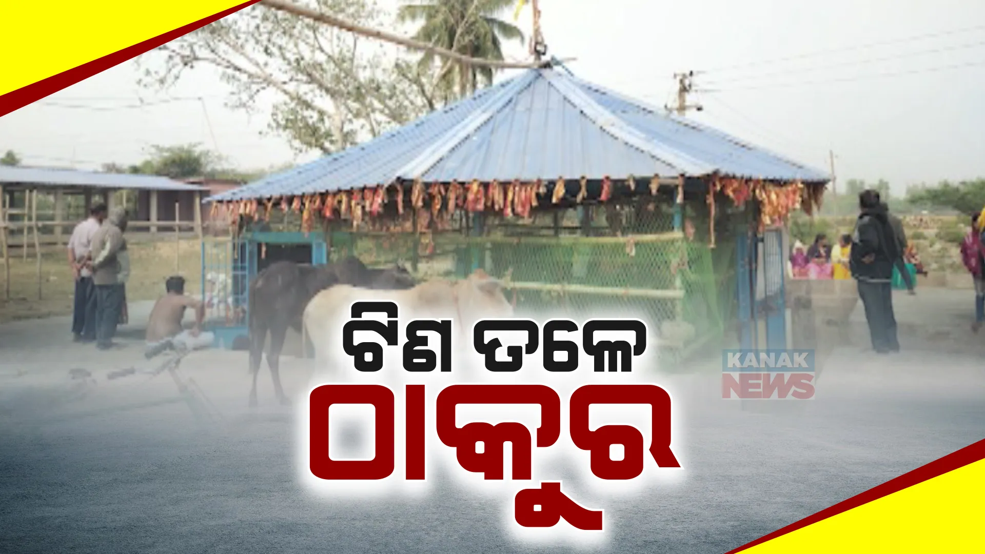 ମହାଦେବଙ୍କ ପାଇଁ ନାହିଁ ମନ୍ଦିର । ୨୦୧୫ରୁ  ଯୋଜନା ହୋଇଥିବା ବେଳେ ଏଯାଏଁ ହୋଇନି ନିର୍ମାଣ, ଟିଣ ତଳେ ପୂଜା ପାଉଛନ୍ତି ଭୋଗରାଇର ବାବା ଭୂଷଣ୍ଡେଶ୍ୱର