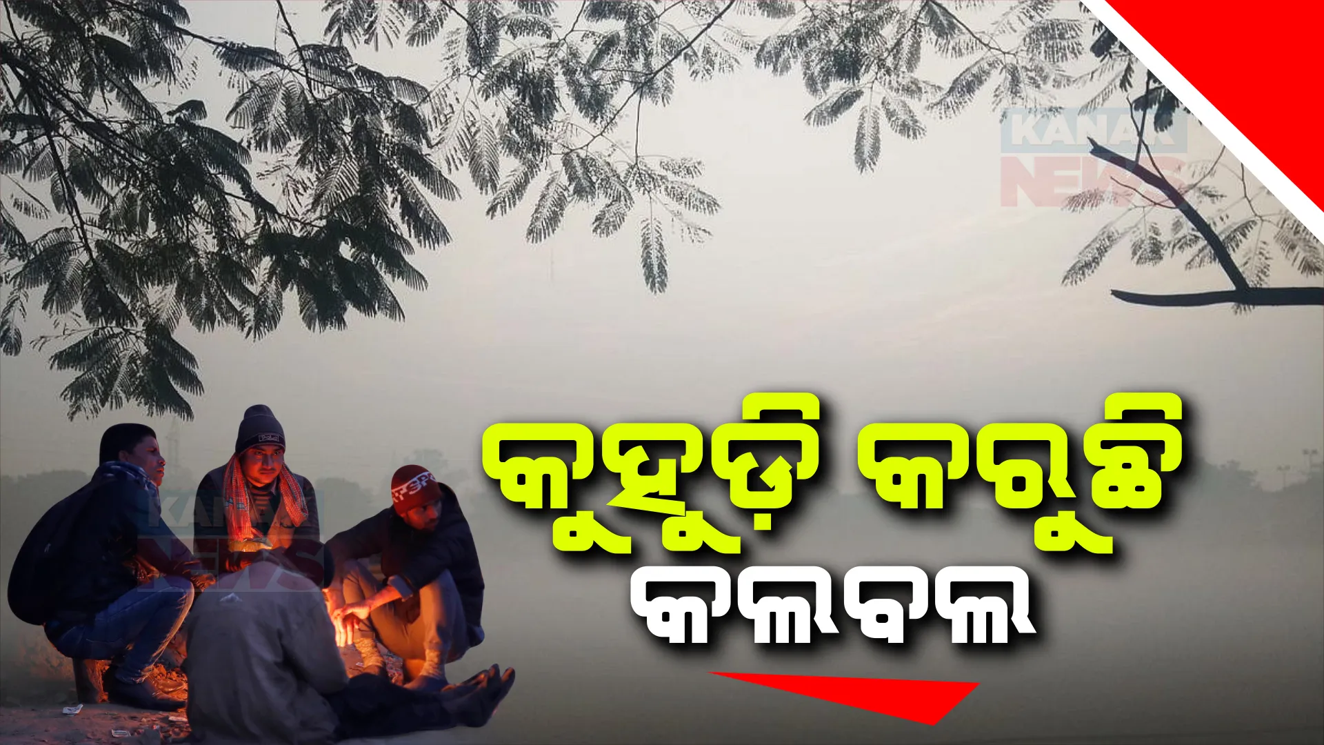 କୁହୁଡି ସାଙ୍ଗକୁ ଶୀତରେ ଥରୁଛି ସାରା ଓଡ଼ିଶା । ଆଜି ରାଜ୍ୟର ବିଭିନ୍ନ ସ୍ଥାନରେ ଘନ କୁହୁଡି ଅନୁଭୂତ । ଆସନ୍ତାକାଲି ବି କୁହୁଡି ପାଇଁ ଜାରି ହୋଇଛି ୟେଲୋ ୱାର୍ଣ୍ଣିଂ