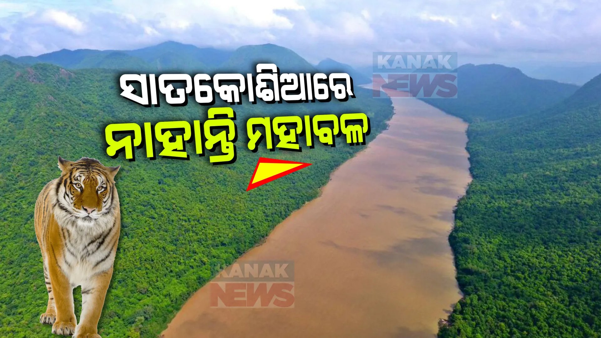 ସାତକୋଶିଆରେ ନାହାନ୍ତି ମହାବାଳ, ଶିମିଳିପାଳରେ ବୁଲୁଛନ୍ତି ୨୭ ମହାବଳ । ଏଣିକି ପ୍ରତିବର୍ଷ ହେବ ବାଘଗଣନା, ସୂଚନା ଦେଲେ ପିସିସିଏଫ୍ ।