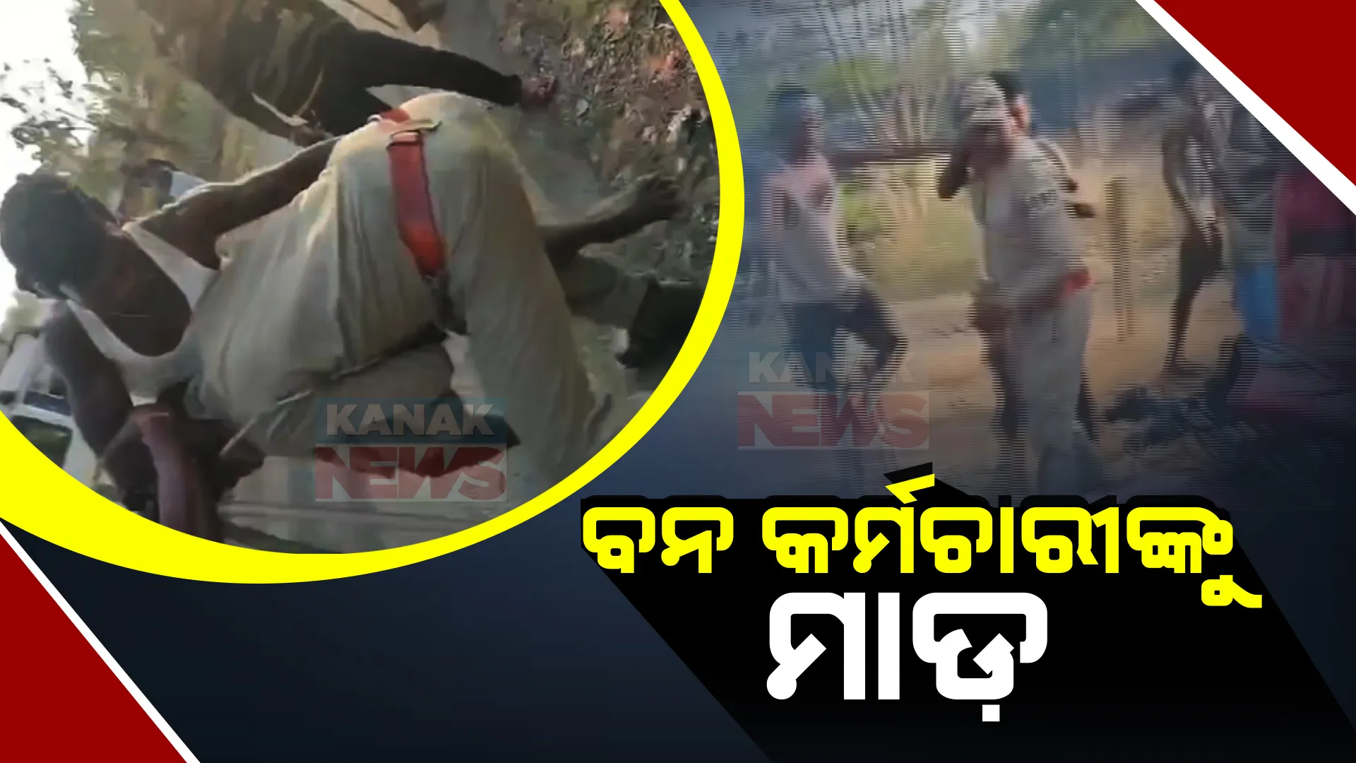ଗଛକଟାକୁ ନେଇ ବନ କର୍ମଚାରୀ-ସ୍ଥାନୀୟ ଲୋକ ଧସ୍ତାଧସ୍ତି । ଫରେଷ୍ଟ ଗାର୍ଡ଼ଙ୍କୁ ଲୋକ ମାଡ଼ମାରୁଥିବାର ଭିଡିଓ ଭାଇରାଲ