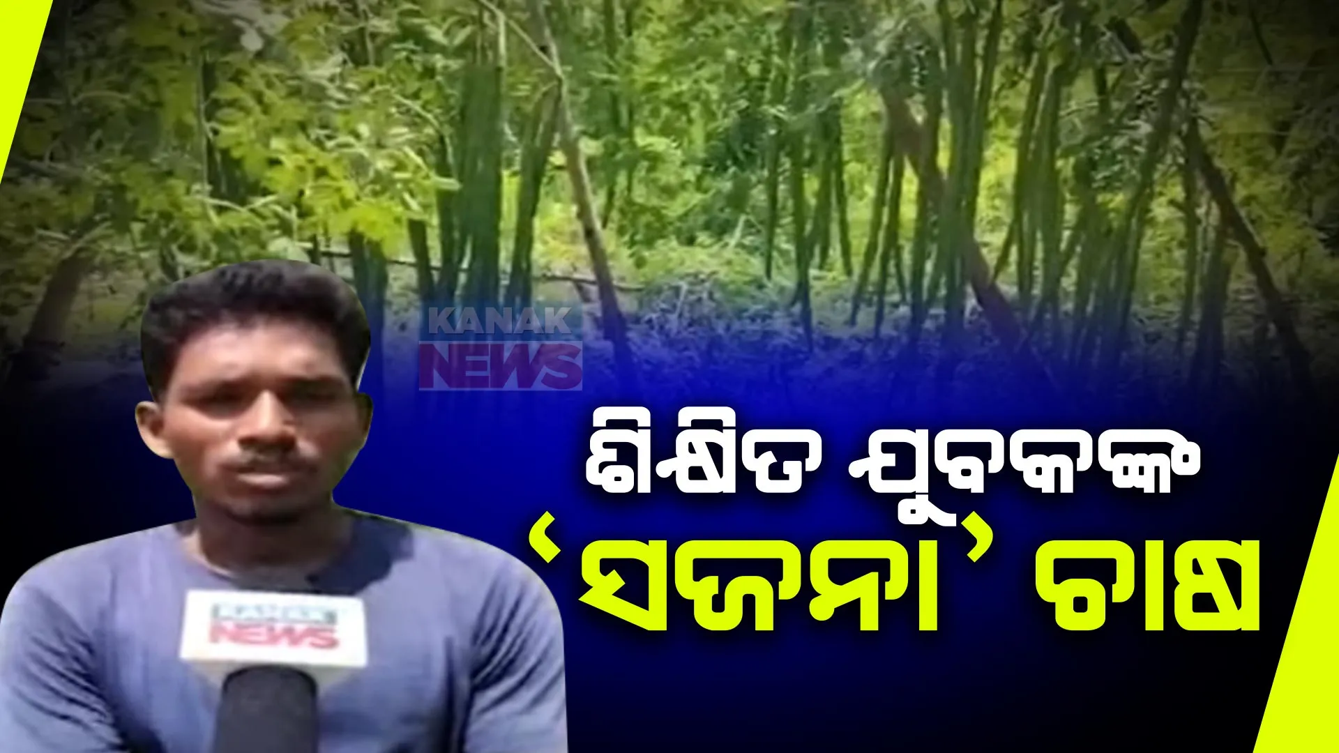 ରାୟଗଡ଼ାର ସଜନା ଚାଷୀ ଟଙ୍କ । ୨ ଏକର ଜମିରେ ଲଗାଇଛନ୍ତି ସଜନା ଗଛ, ବର୍ଷକୁ ରୋଜଗାର ହୋଉଛି ଲକ୍ଷାଧିକ ଟଙ୍କା