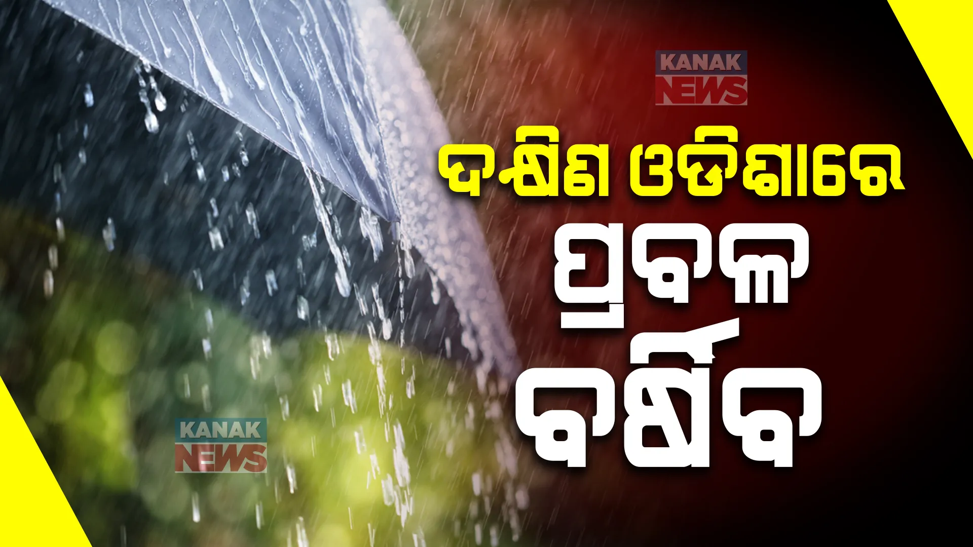 ଘୂର୍ଣ୍ଣିବଳୟ ପ୍ରଭାବରେ ରାଜ୍ୟର ବିଭିନ୍ନ ସ୍ଥାନରେ ବର୍ଷା । ଆଜି ଓ ଆସନ୍ତାକାଲି ପ୍ରବଳରୁ ଅତି ପ୍ରବଳ ବର୍ଷା ସମ୍ଭାବନା, ୮ ଜିଲ୍ଲାକୁ ସତର୍କ ସୂଚନା