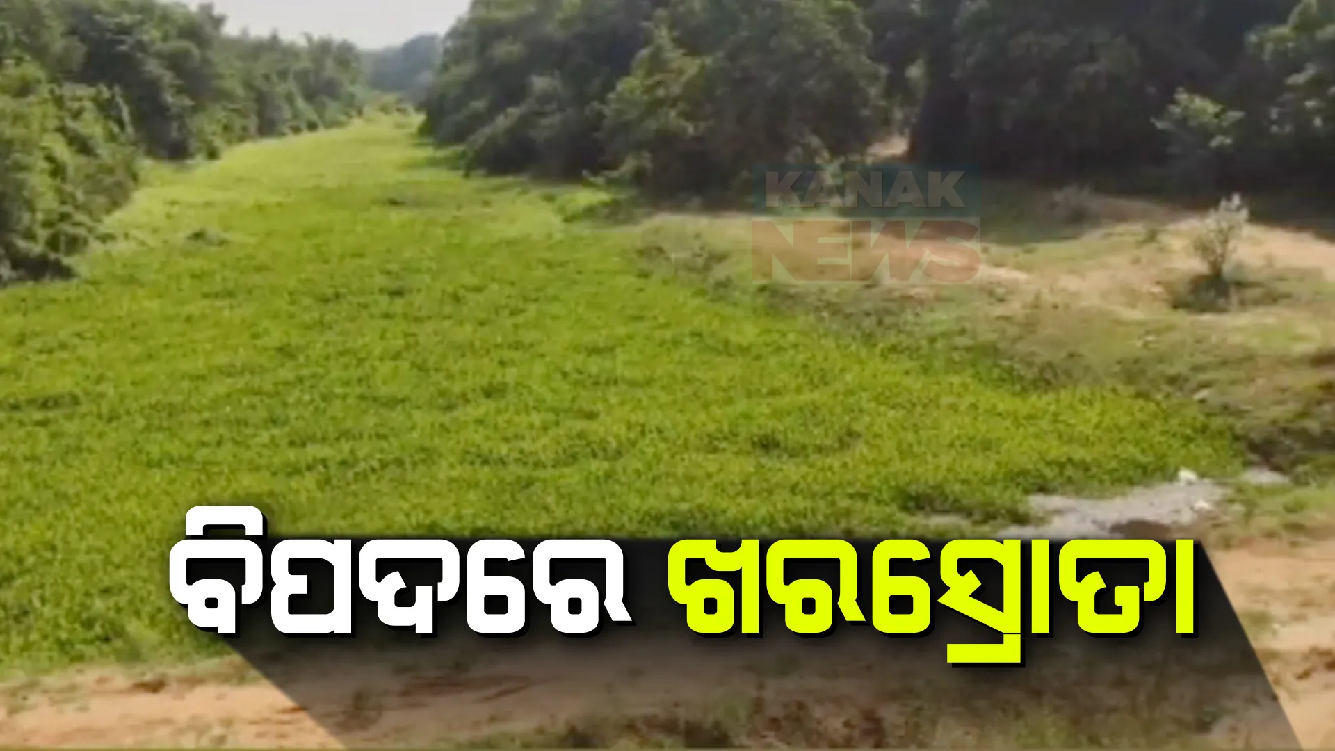 ଖରସ୍ରୋତାରେ ବିଲିନ ହୋଇଗଲାଣି ସ୍ରୋତ । ୧୨ ବର୍ଷର ଆନ୍ଦୋଳନ ପରେ ଉଦ୍ଧାର ପ୍ରତିଶ୍ରୁତି ଦେଲା ପ୍ରଶାସନ