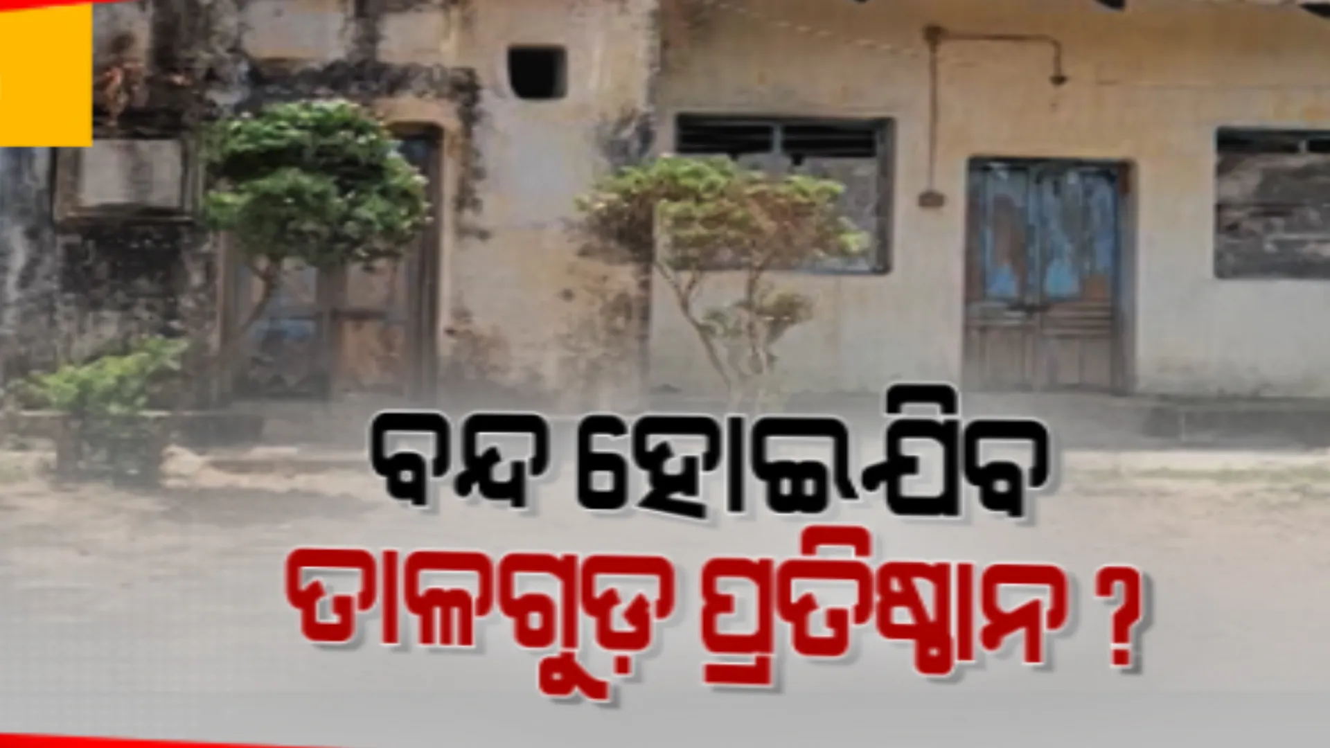 ବନ୍ଦ ହେବାକୁ ବସିଲାଣି ସହିଦ ନିରଞ୍ଜନ ଘୋଷ ତାଳଗୁଡ଼ ପ୍ରତିଷ୍ଠାନ । ଆଉ ଉତ୍ପାଦନ ହେଉନି ତାଳ ଖଜୁରୀ ଗୁଡ, ଜୀବନଜୀବିକା ହରାଇଲେଣି ଶତାଧିକ କାରିଗର