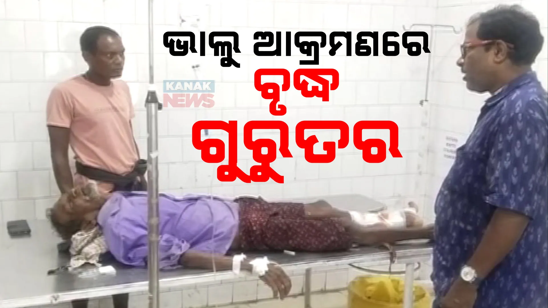 ରାତିରେ ବିଲକୁ ଚାଷ ଜଗିବାକୁ ଯାଇଥିଲେ ... ଫେରିଲାବେଳେ ମାଡ଼ି ବସିଲା ଭାଲୁ, ବୃଦ୍ଧ ଗୁରୁତର