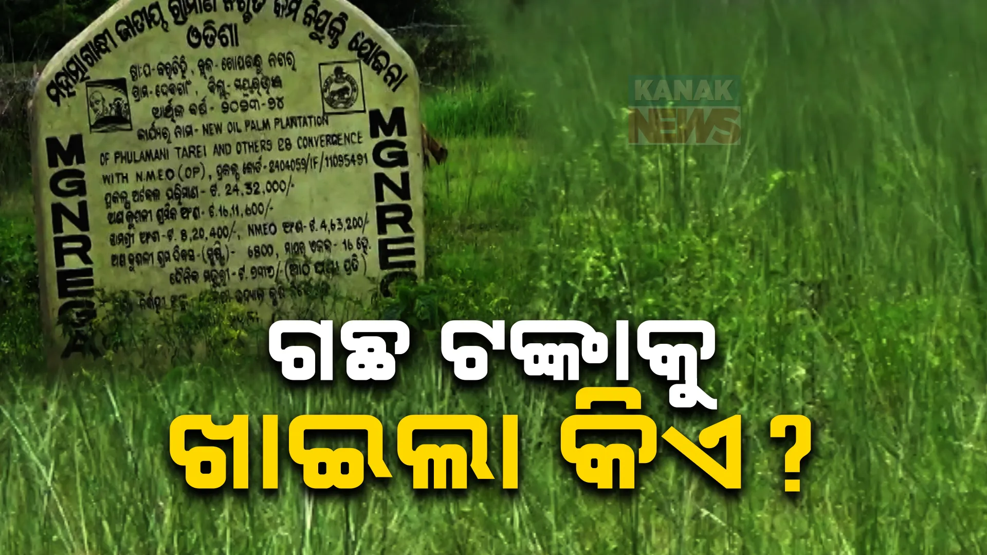 ପାମ୍ ଅଏଲ ପ୍ଲାଣ୍ଟେସନ ନାମରେ ଦୁର୍ନୀତି ଅଭିଯୋଗ । ଉଦଳାରେ ଉଦ୍ୟାନ ନାଁରେ ମିଛ ତଥ୍ୟ ଦେଇ ଲକ୍ଷାଧିକ ଟଙ୍କା ହରିଲୁଟ୍
