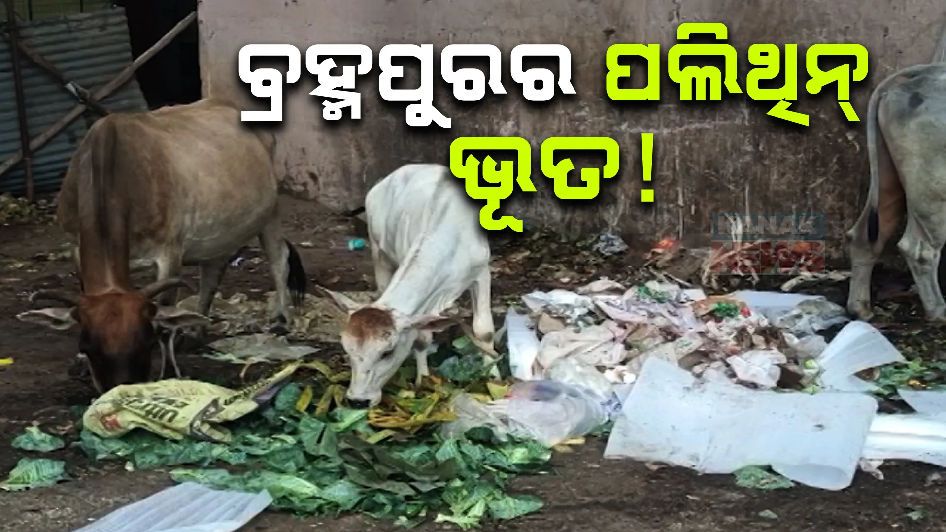 ସହର ଭିତରେ କଟକଣାକୁ ବେଖାତିର । ସବୁଠି ପଡିଛି କୁୃଢ କୁଢ ପଲିଥିନ୍ । ସଚେତନତା ସହ କଡା କାର୍ଯ୍ୟାନୁଷ୍ଠାନ ଦାବି
