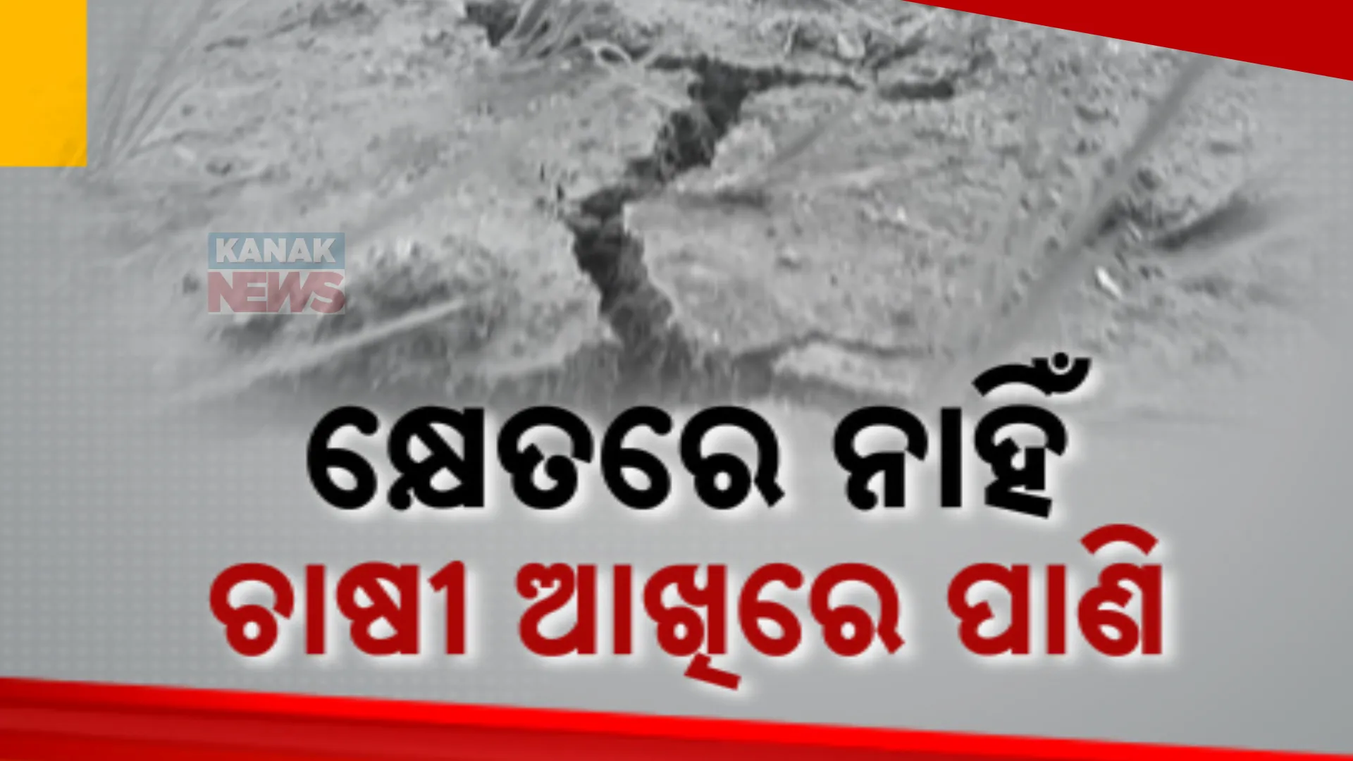 ଶ୍ରାବଣ ମାସରେ ବି ମରୁଡି ପରିସ୍ଥିତି । ବର୍ଷା ଅଭାବରୁ ସୁନ୍ଦରଗଡର ବିଭିନ୍ନ ସ୍ଥାନରେ ଚାଷ ଜମି ଫାଟି ଆଁ, ପୋଡି ଗଲାଣି ତଳି