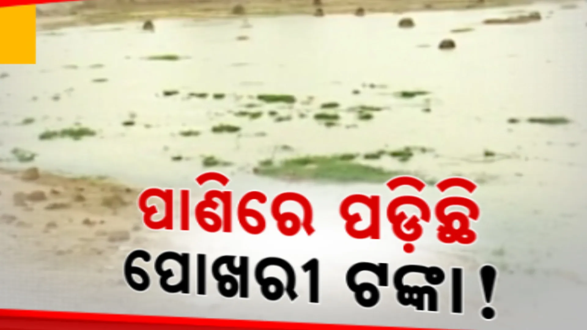 ପୋଖରୀ ପୁନଃରୁଦ୍ଧାର ପାଇଁ ଖର୍ଚ୍ଚ ହୋଇଛି କୋଟି କୋଟି ଟଙ୍କା, ତଥାପି ହୋଇପାରିନି ସୌନ୍ଦର୍ଯ୍ୟକରଣ । ସରକାରୀ ଅର୍ଥ ହରିଲୁଟ୍ ଅଭିଯୋଗ