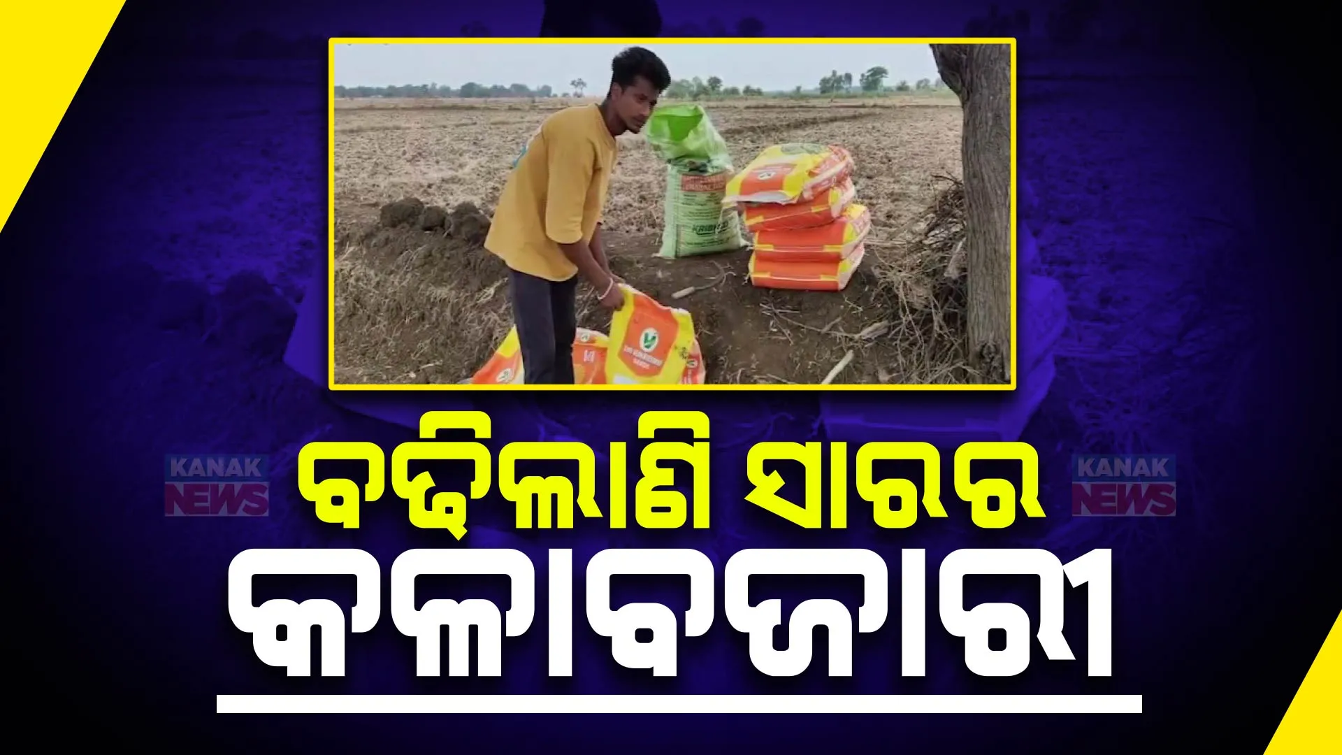 ଚାଷ ଆରମ୍ଭରୁ ବଢିଲା ନବରଙ୍ଗପୁର ଚାଷୀଙ୍କ ଚିନ୍ତା । ଲ୍ୟାମ୍ପରେ ମିଳୁନି ସାର, ବଜାରରୁ ଚଢା ଦରରେ କିଣୁଛନ୍ତି ଚାଷୀ