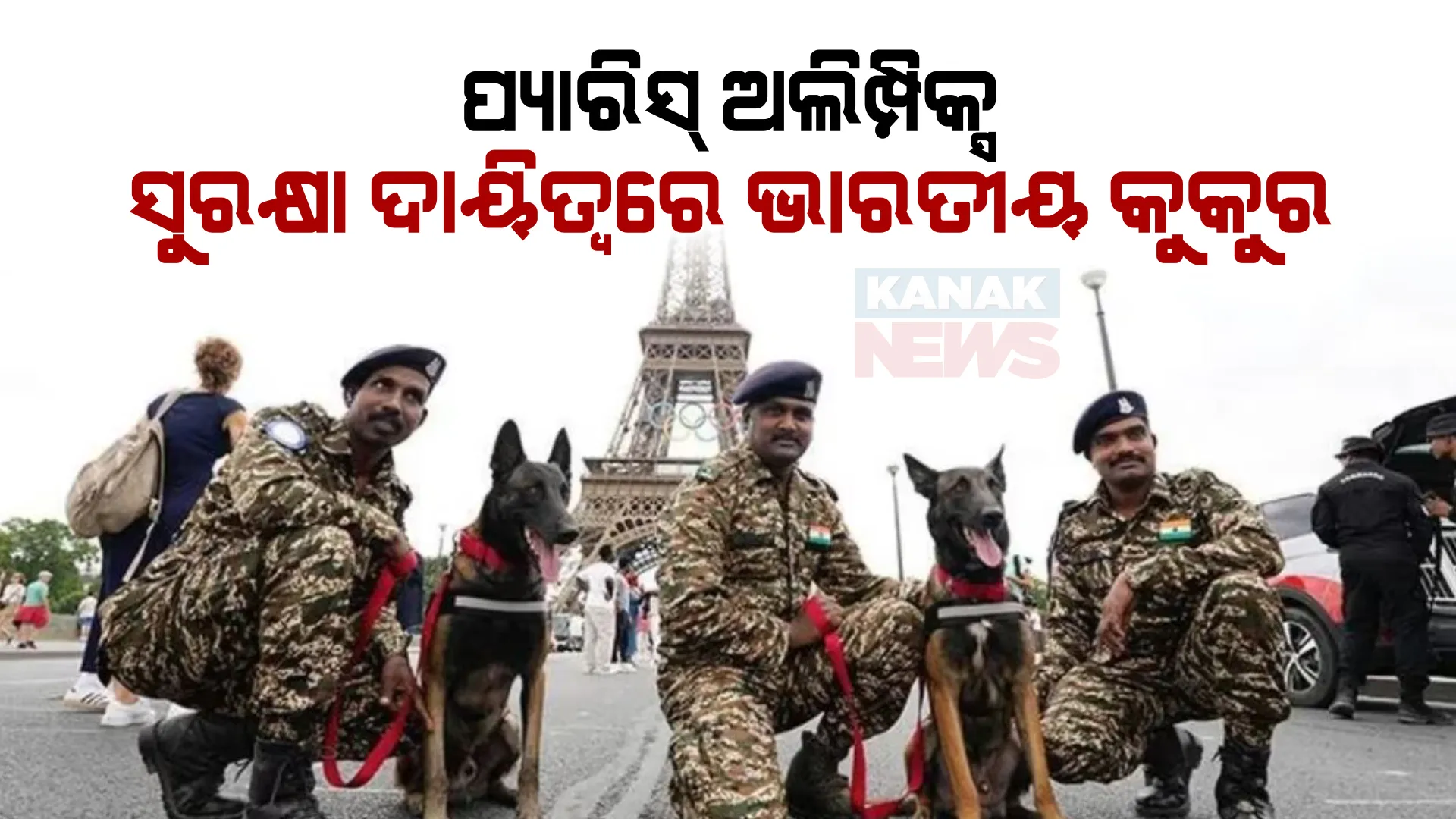 ପ୍ୟାରିସ ଅଲିମ୍ପିକ୍ସ ସୁରକ୍ଷା ବ୍ୟବସ୍ଥାରେ ନିୟୋଜିତ ହେବେ ସୁରକ୍ଷାକାରୀ ଭାରତୀୟ କେ-୯ କୁକୁର ଦଳ । ଜାଣନ୍ତୁ ଏହି ପ୍ରଜାତିର କୁକୁରଙ୍କ ସ୍ୱତନ୍ତ୍ରତା