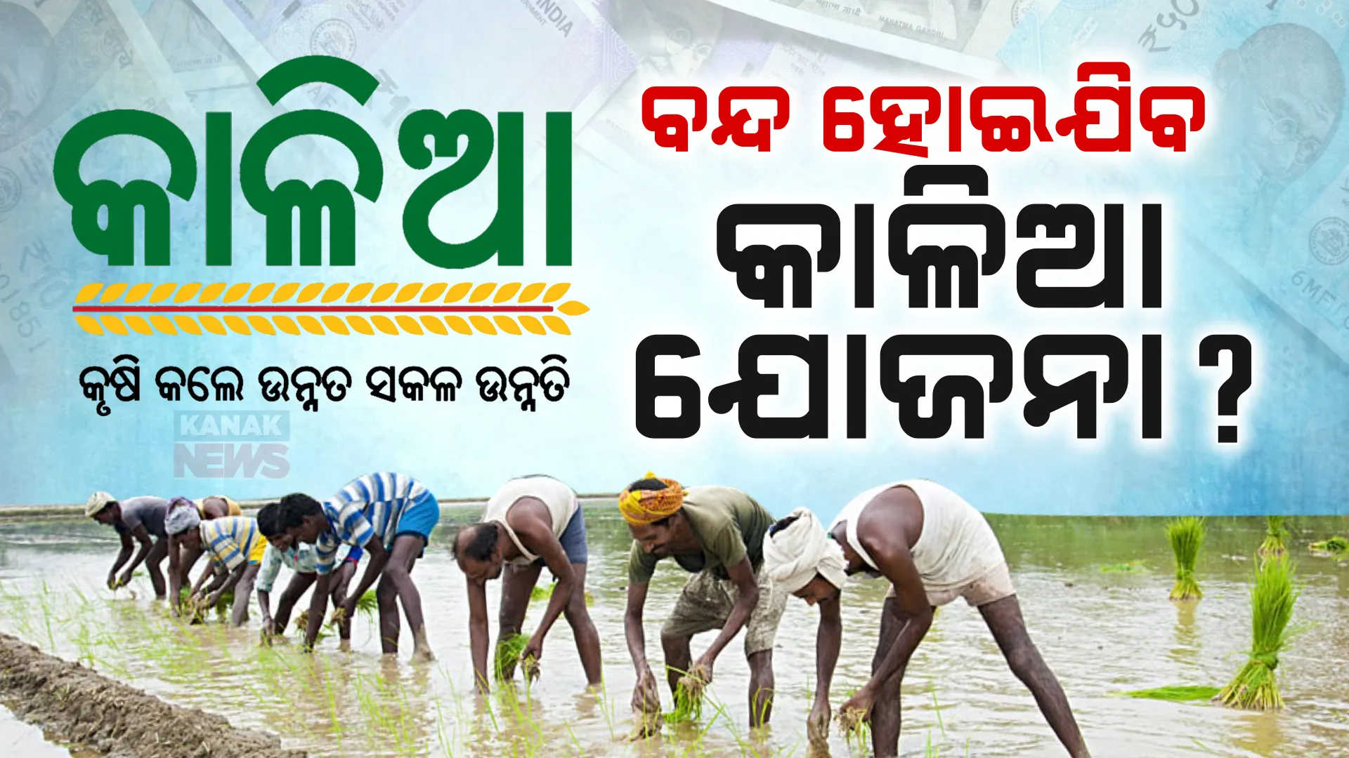 ବନ୍ଦ ହେବ କି କାଳିଆ ଯୋଜନା ? ଦ୍ୱନ୍ଦ୍ୱ ବଢ଼ାଇଲା ବିଧାନସଭାରେ ମନ୍ତ୍ରୀଙ୍କ ଉତ୍ତର