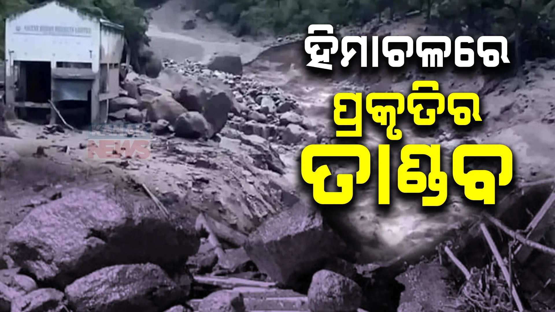 ବାଦଲ ଫଟା ବର୍ଷାରେ ହିମାଚଳ ପ୍ରଦେଶରେ ବେହାଲ । ସିମଲା, ମଣ୍ଡି, କୁଲୁରେ ଧୋଇଗଲା ଘର, ୨୮ଜଣ ନିଖୋଜ