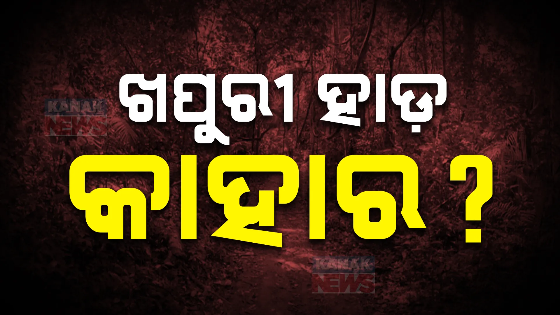 ଦିଗପହଣ୍ଡି ପାଟପୁର ଥାନା ବୃନ୍ଦାବନପୁର ଜଙ୍ଗଲରୁ ମଣିଷ ଖପୁରୀ ଜବତ । ଘଟଣା ସ୍ଥଳରେ ପହଂଚିଲା ପୋଲିସ, ତଦନ୍ତ ଜାରି