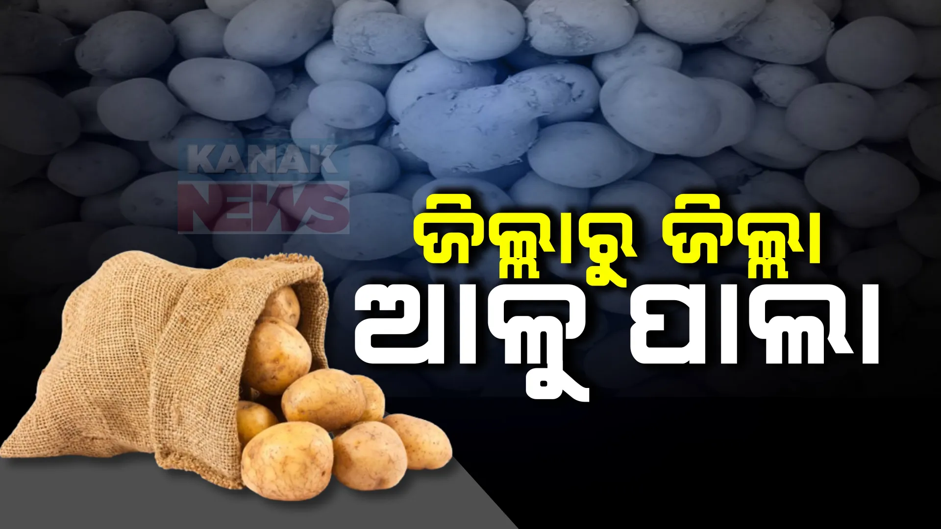 ଜିଲ୍ଲାରୁ ଜିଲ୍ଲା, ଆଳୁ ପାଇଁ ଚାଲିଛି ପାଲା... ଆଳୁ ସଂକଟ ଭିତରେ ଆଶ୍ୱସ୍ତି ଆଣିଲା ମୁଖ୍ୟମନ୍ତ୍ରୀଙ୍କ ବୟାନ । ମମତାଙ୍କୁ ଭେଟିବାକୁ କଲିକତା ଗଲେ ଜଗୁନୀ ।