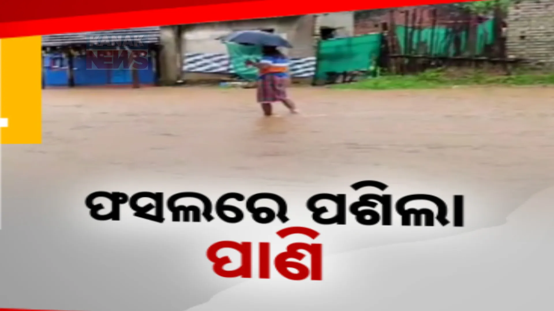 ଲଗାଣ ବର୍ଷାରେ ଅସ୍ତବ୍ୟସ୍ତ ଜନଜୀବନ । ତେଲକୋଇରେ ବଢୁଛି ନଦୀର ଜଳସ୍ତର । ଏକର ଏକର ଜମିରେ ପାଣି ପଶି ଫସଲ ନଷ୍ଟ
