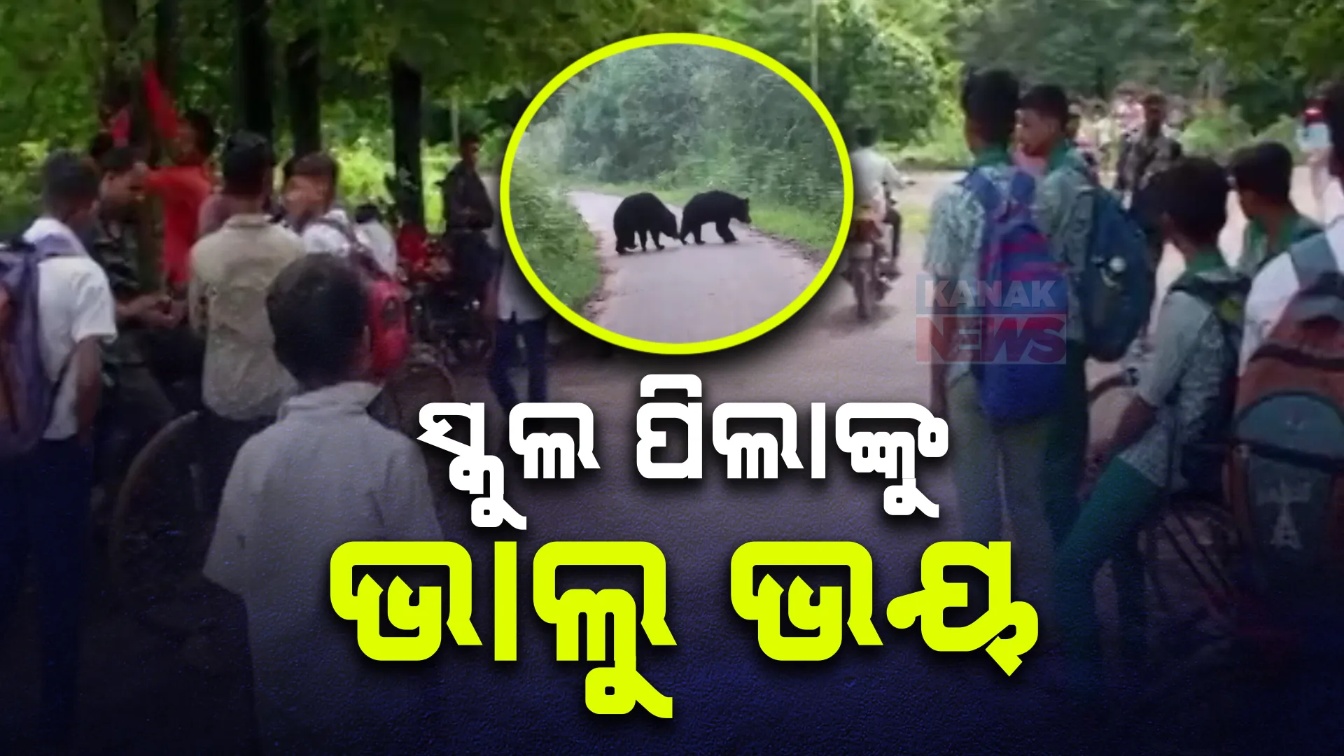 ରାସ୍ତାରେ ଜଗିଛି ଭାଲୁ । ଭୟରେ ସ୍କୁଲ ଯାଇପାରୁ ନାହାନ୍ତି ଛାତ୍ରଛାତ୍ରୀ, ଦିନ ବେଳା ଭାଲୁ ବୁଲୁଥିବା ଭିଡିଓ ଭାଇରାଲ ଆତଙ୍କିତ ଅଞ୍ଚଳବାସୀ ।