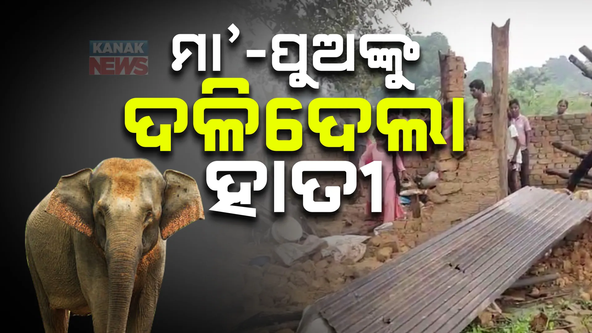 ସୁନ୍ଦରଗଡ଼ କୋଇଡ଼ାରେ ହାତୀର ଉତ୍ପାତ । ଶୋଇଥିବା ବେଳେ ଗର୍ଭବତୀ ମା’ ସହ ୮ ବର୍ଷର ପୁଅଙ୍କୁ ଦଳିଦେଲା ଦନ୍ତା 