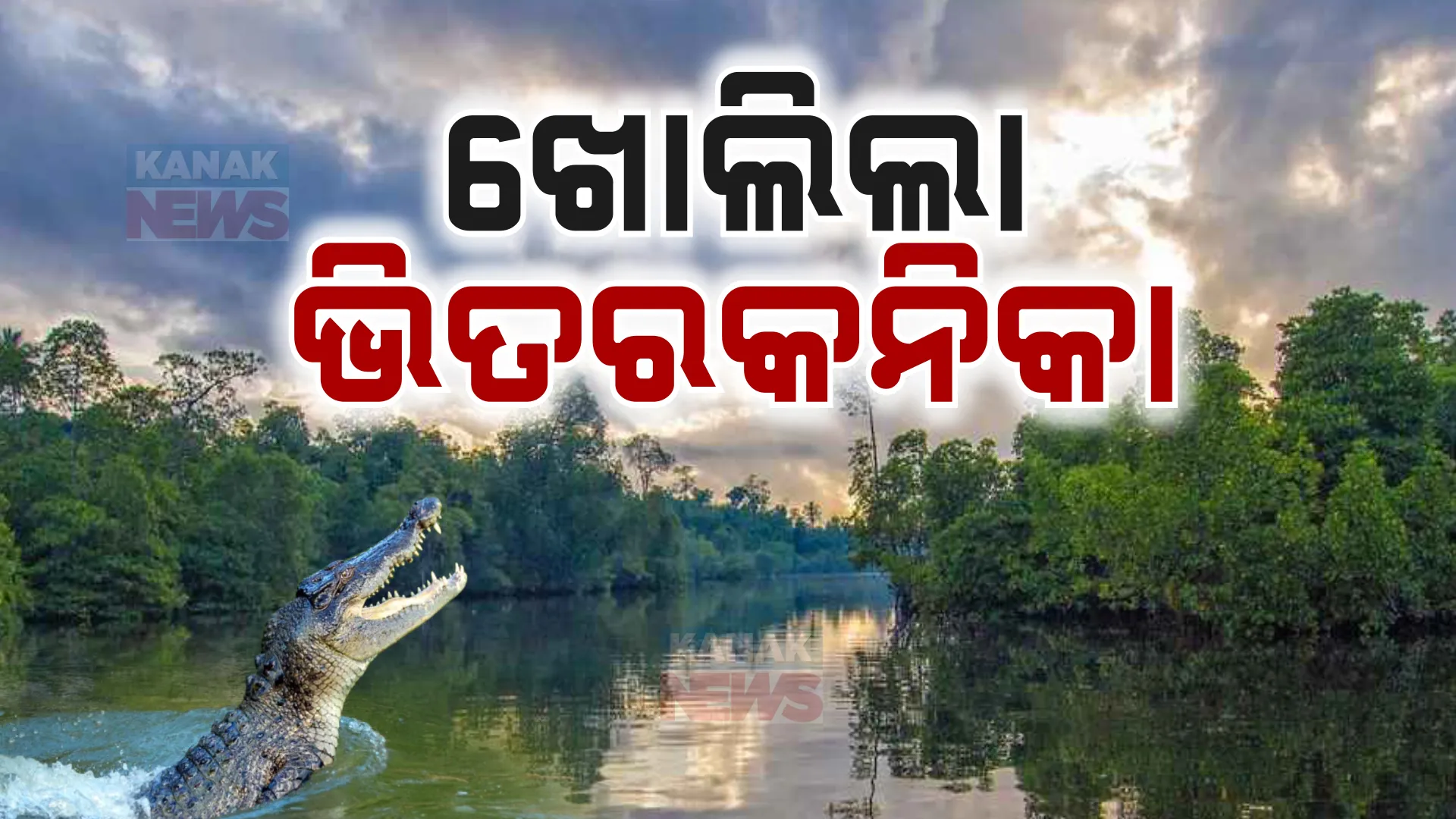ପର୍ଯ୍ୟଟକଙ୍କ ପାଇଁ ଆଜିଠୁ ଖୋଲିଲା ଭିତରକନିକା । କୁମ୍ଭୀର ପ୍ରଜନନ ପାଇଁ ମେ ୧ ତାରିଖରୁ ରହିଥିଲା ବନ୍ଦ 