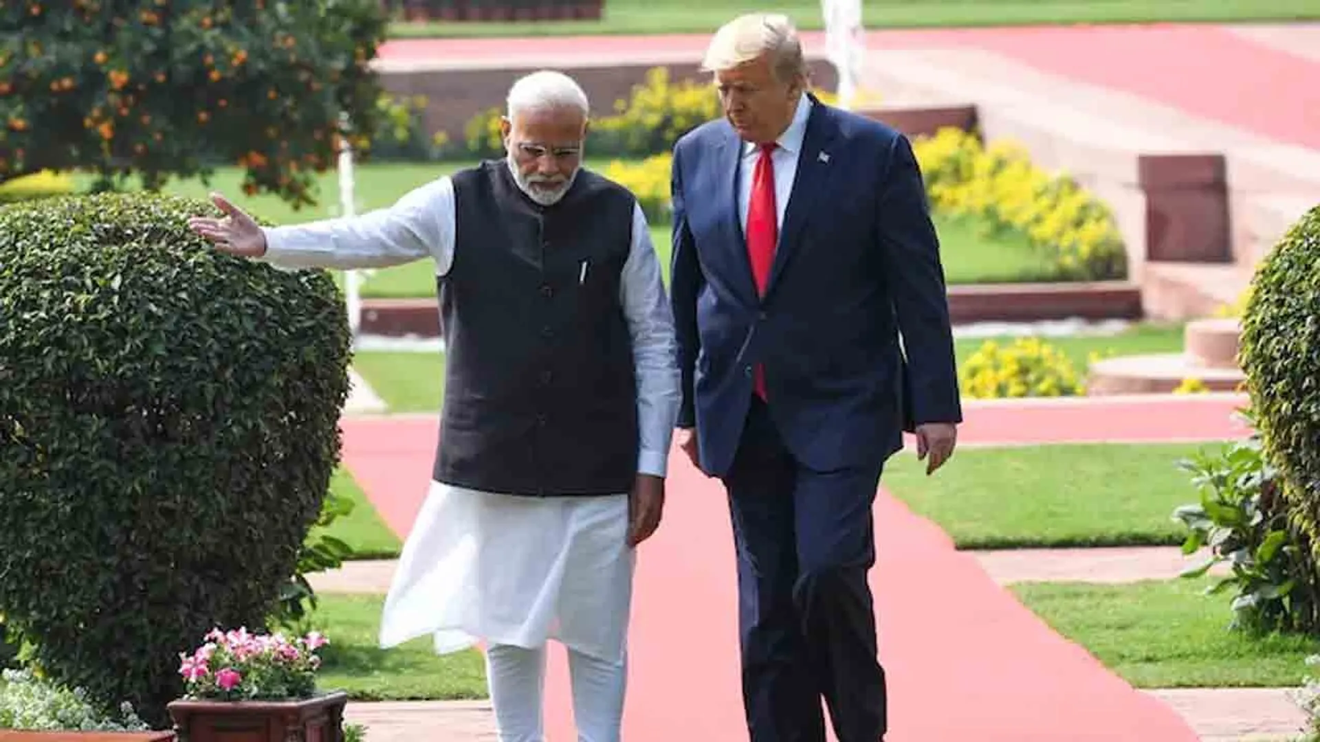 moditrumporigina;