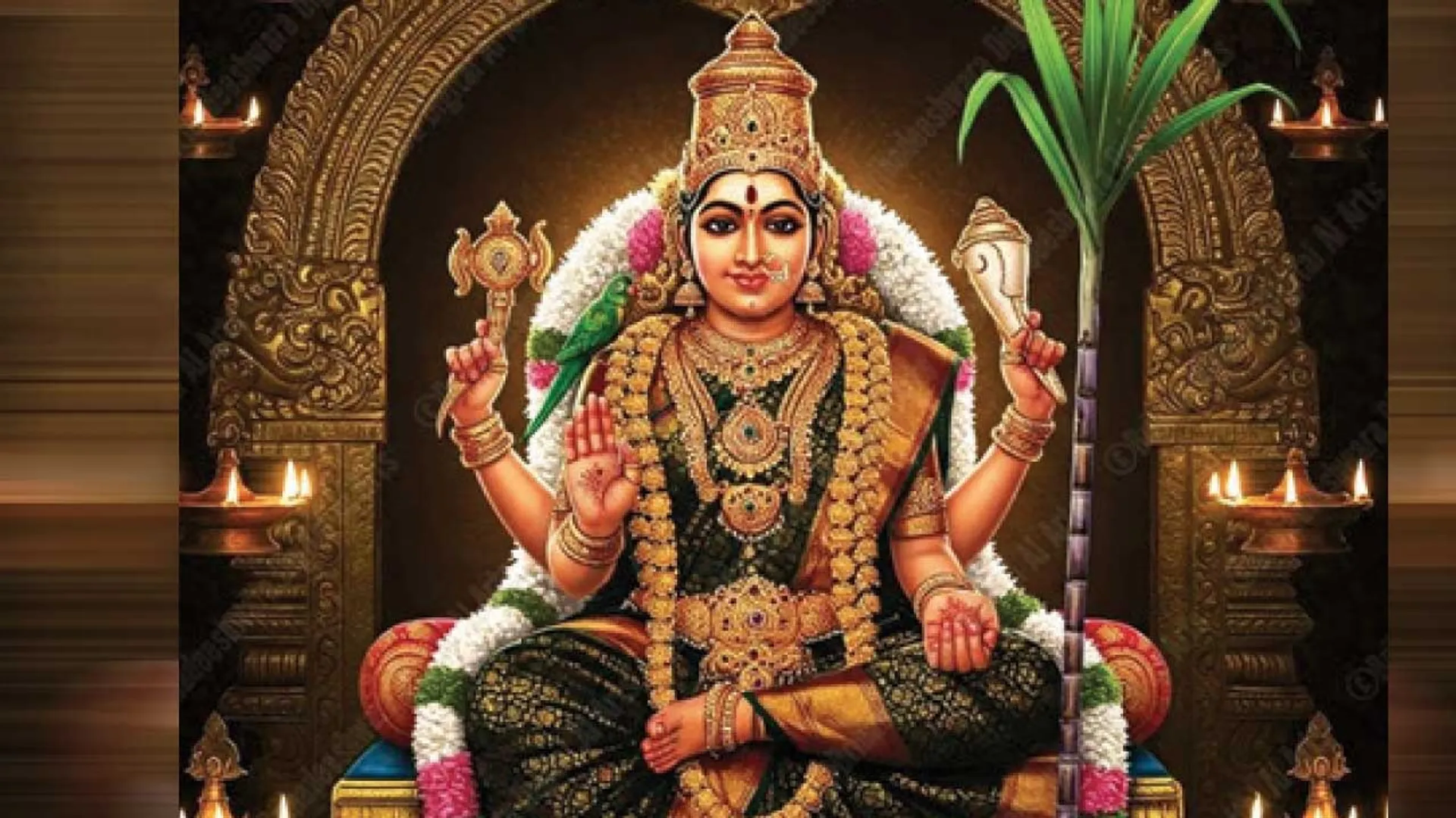 malar