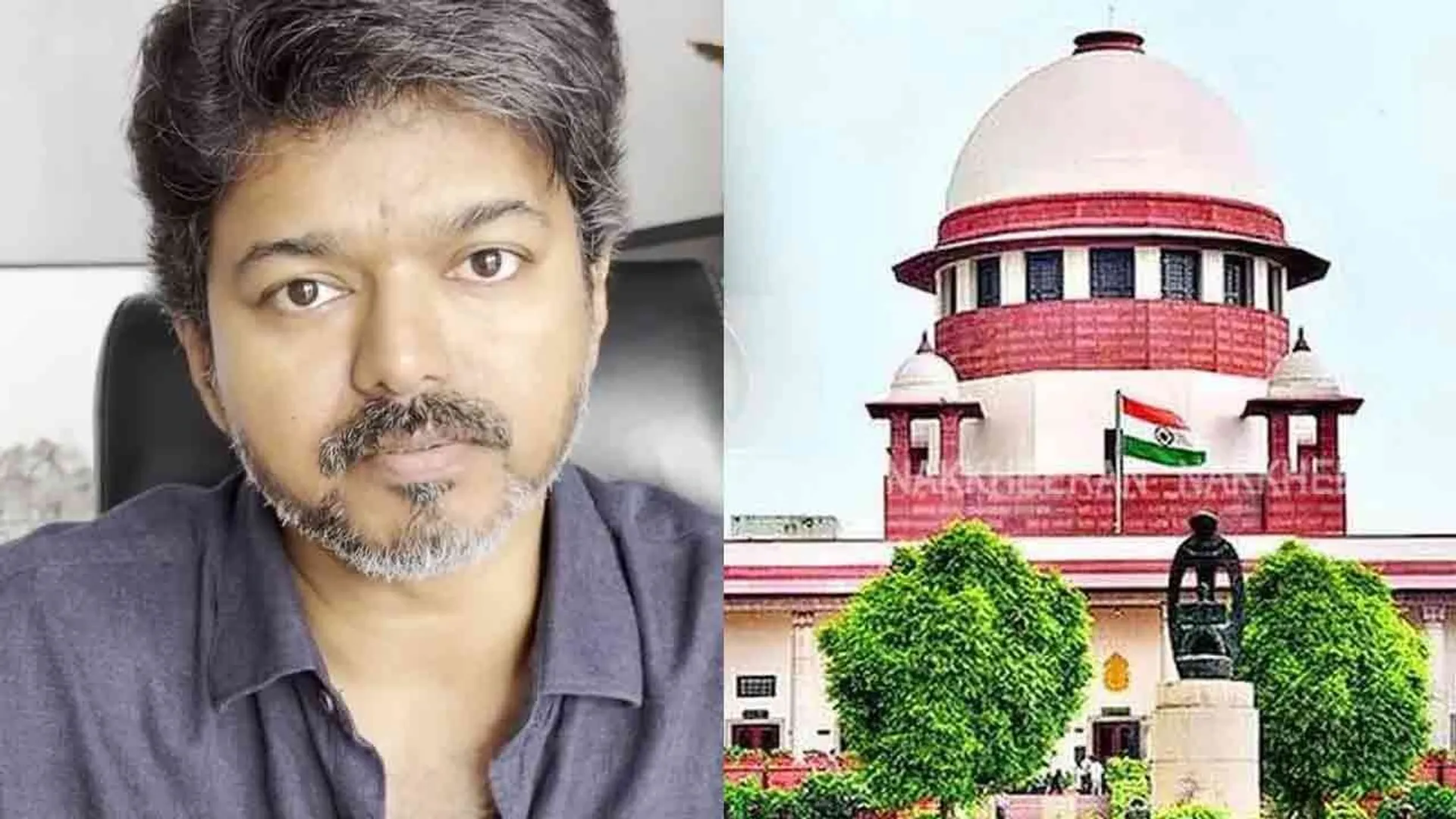 tvk-vijay-sc