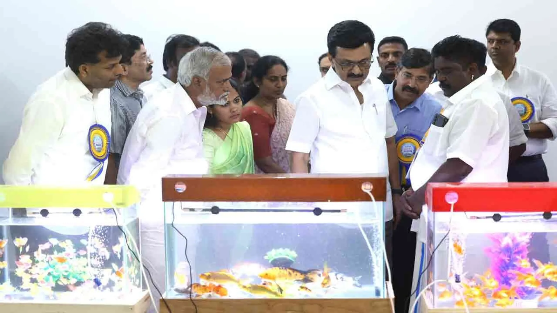 kolathur-mks-fish