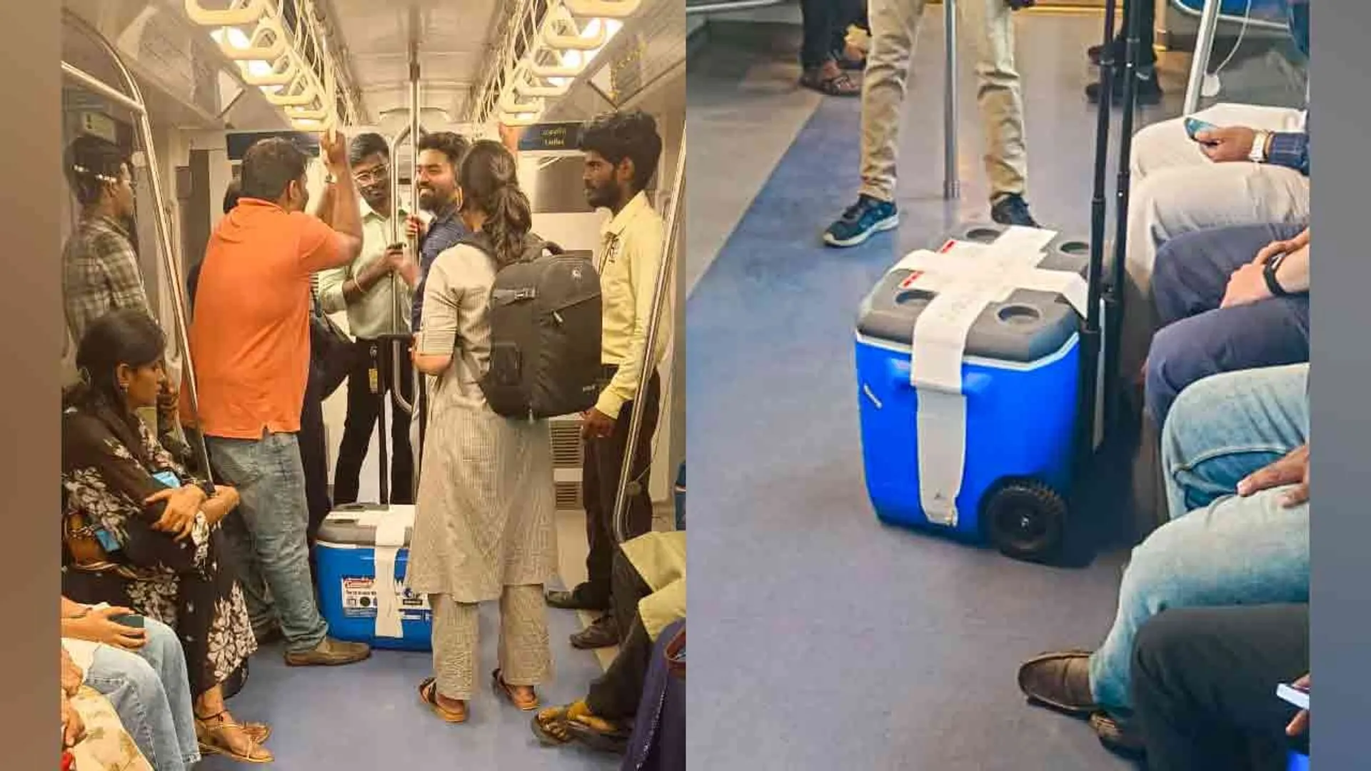 transplantation-cmrl