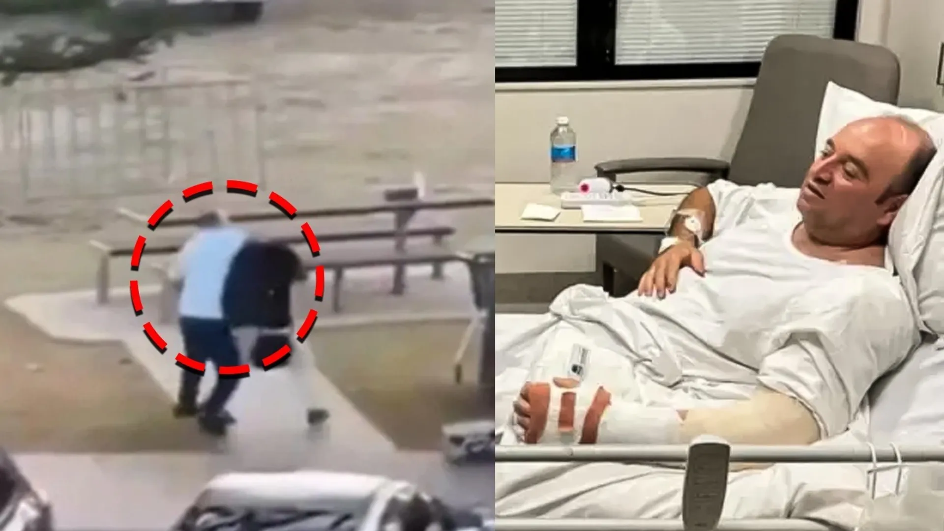 WhatsApp Image 2025-12-16 at 2.37.11 PM