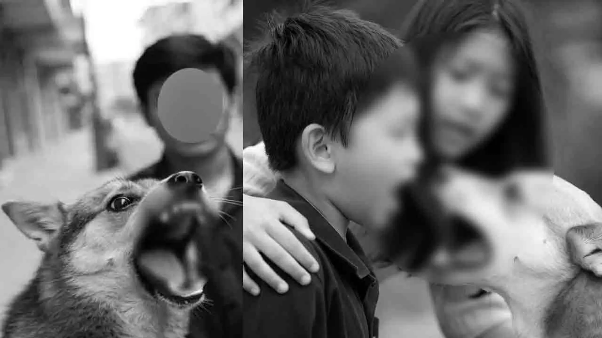 dog-bite-ai-image-child-img