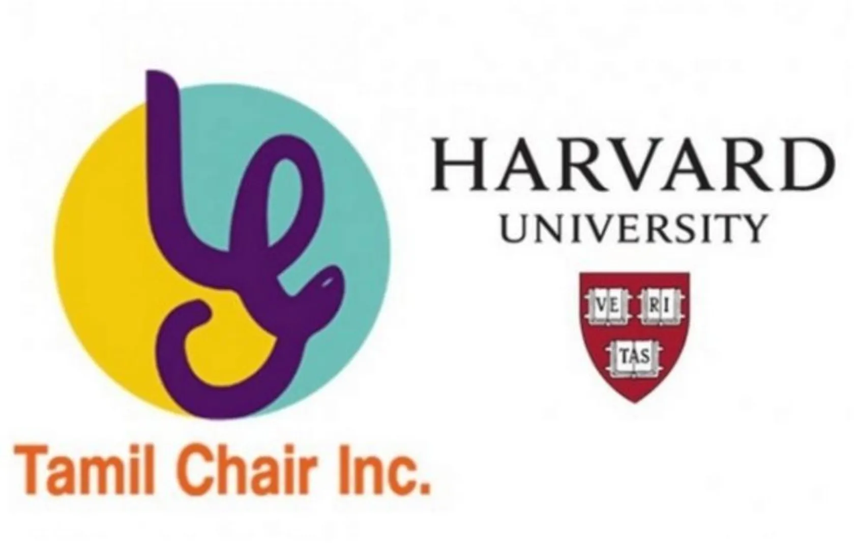 hardvard university 