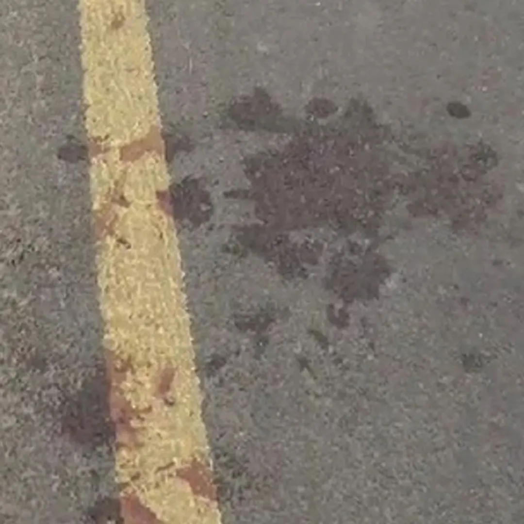 Blood